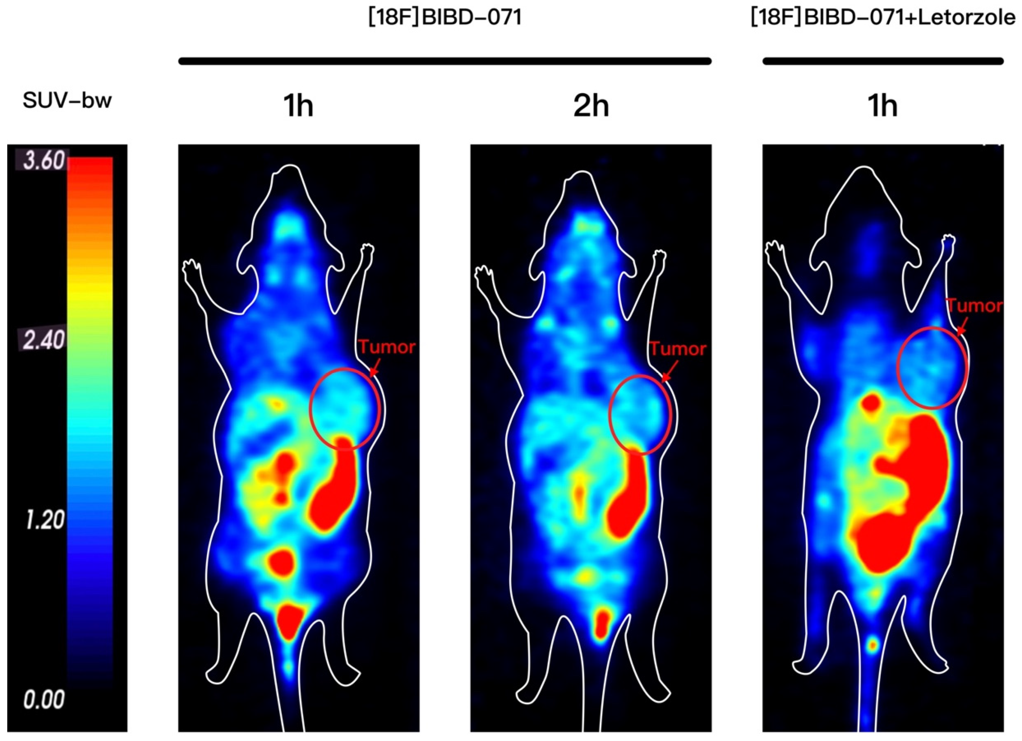 Pharmaceuticals 18 00066 g002