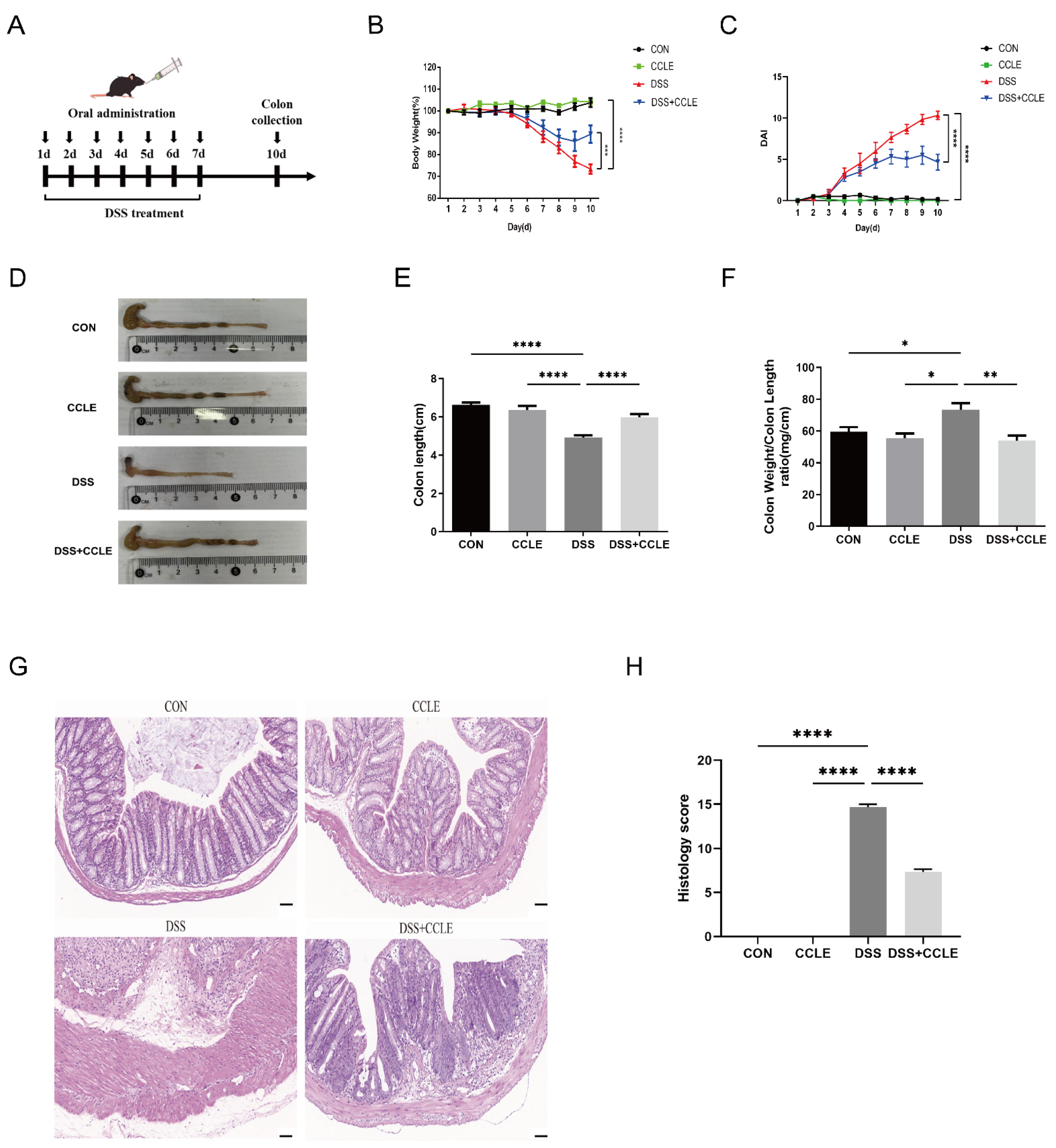 Pharmaceuticals 18 00067 g002