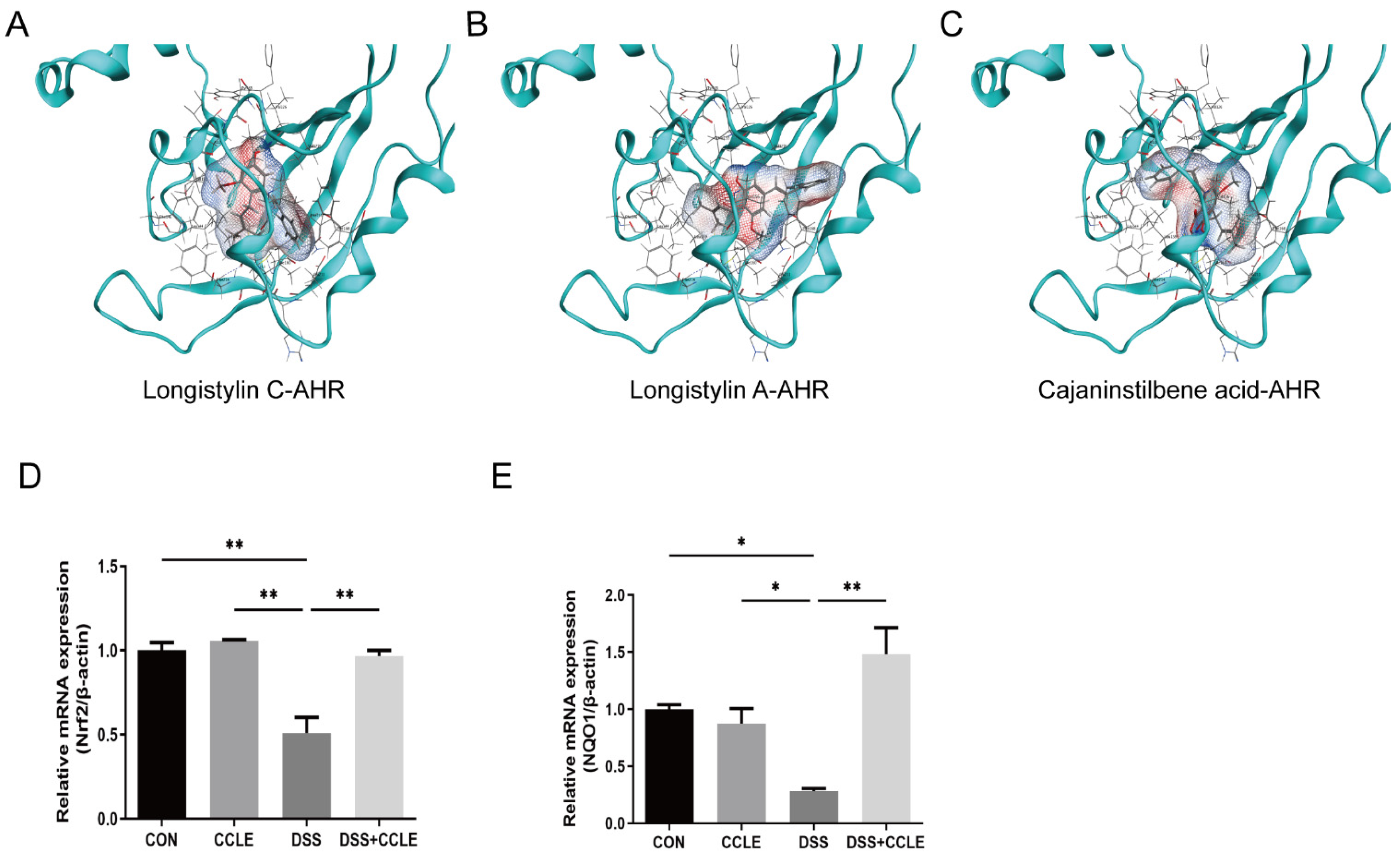 Pharmaceuticals 18 00067 g006
