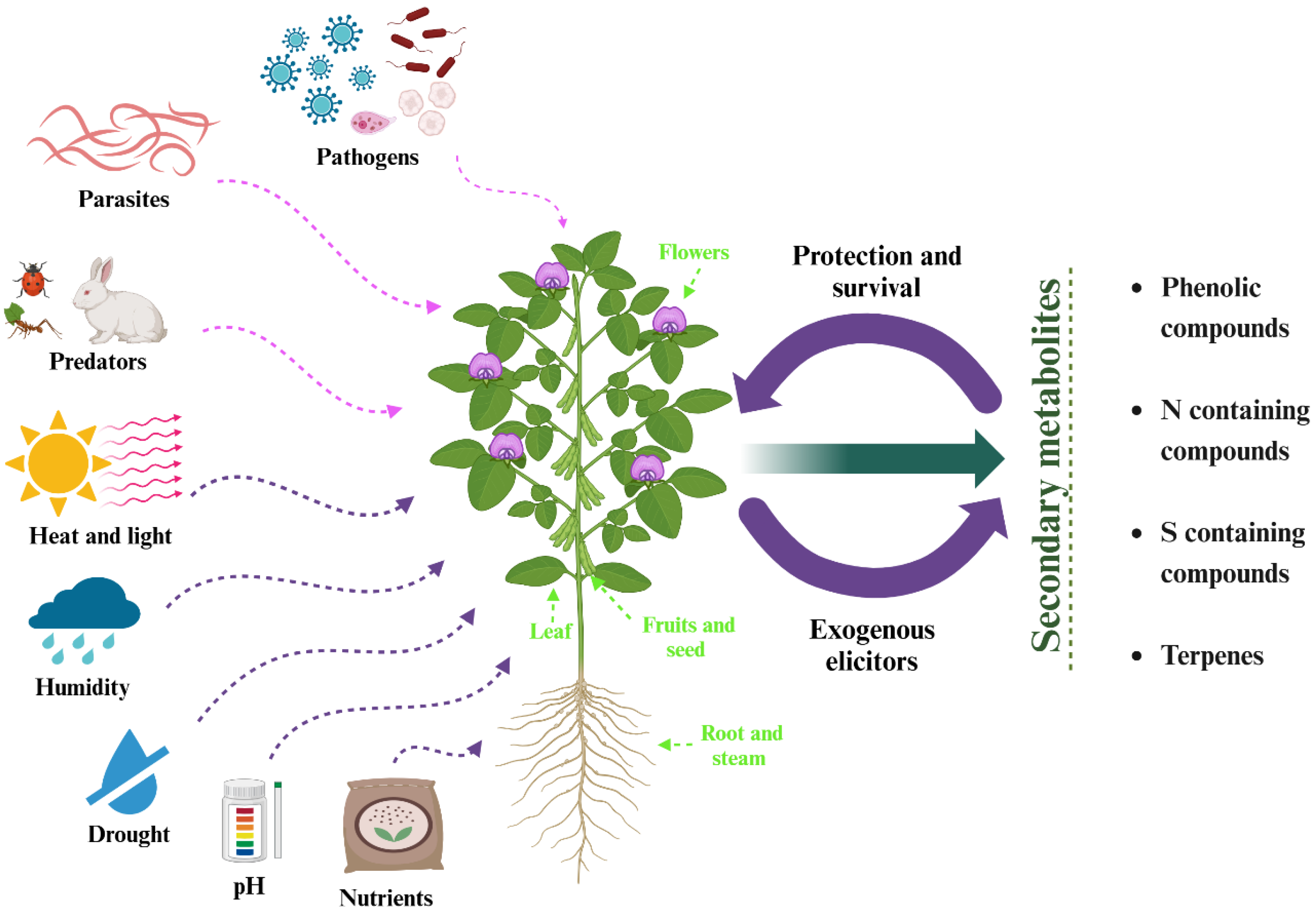 Pharmaceuticals 18 00069 g001