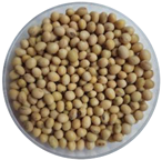 Pharmaceuticals 18 00069 i001