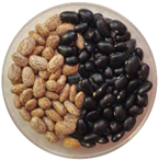 Pharmaceuticals 18 00069 i002