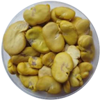 Pharmaceuticals 18 00069 i004