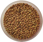 Pharmaceuticals 18 00069 i005