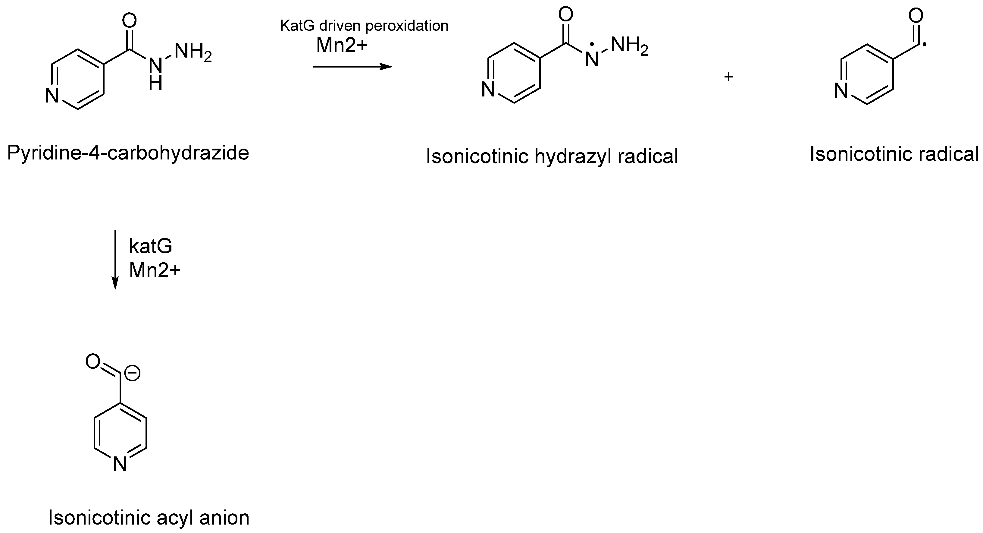 Pharmaceuticals 18 00070 g007
