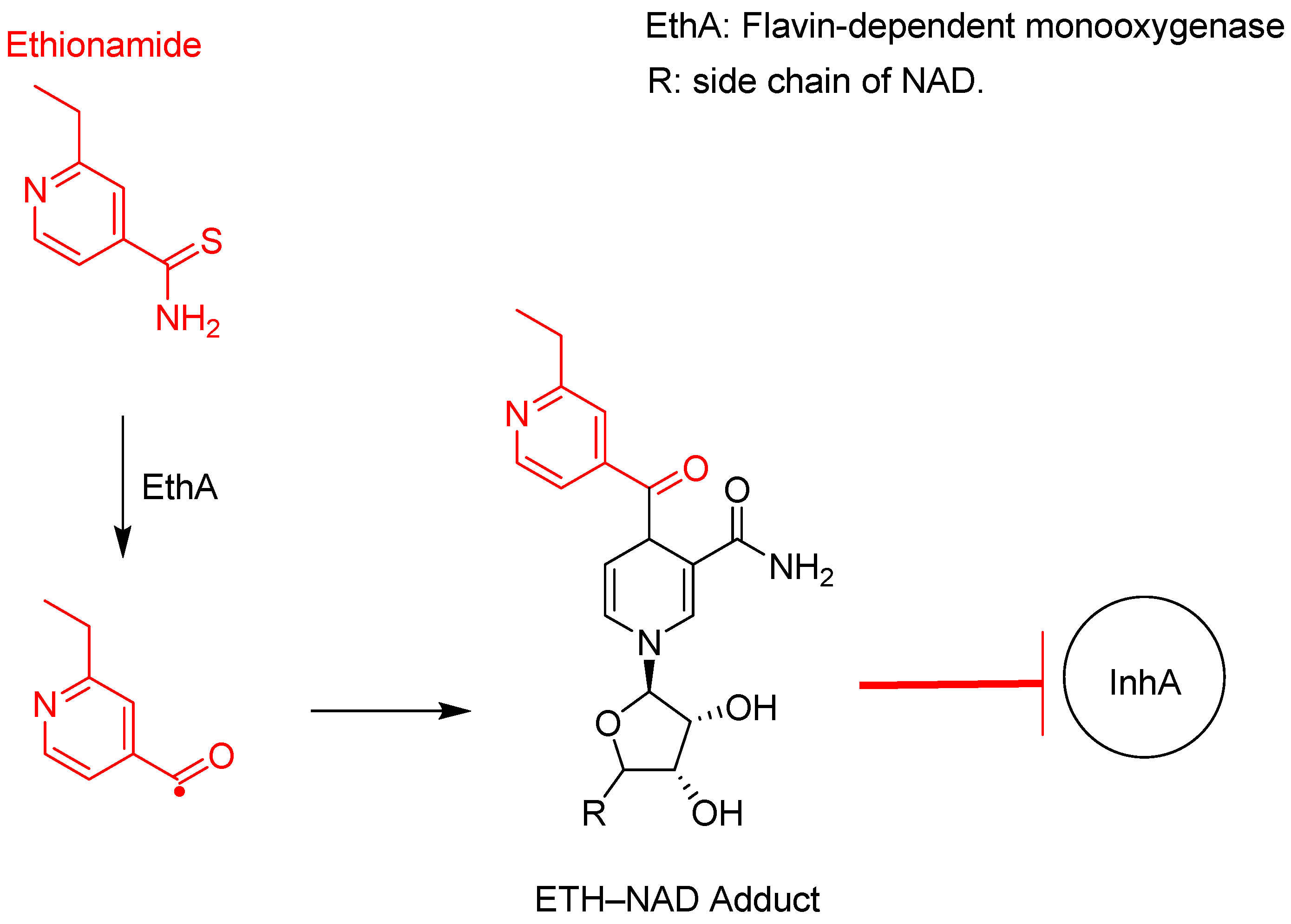 Pharmaceuticals 18 00070 g010