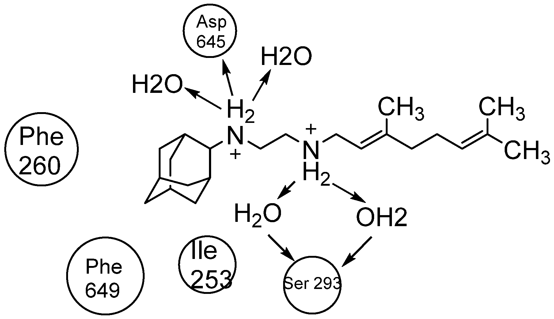Pharmaceuticals 18 00070 g017