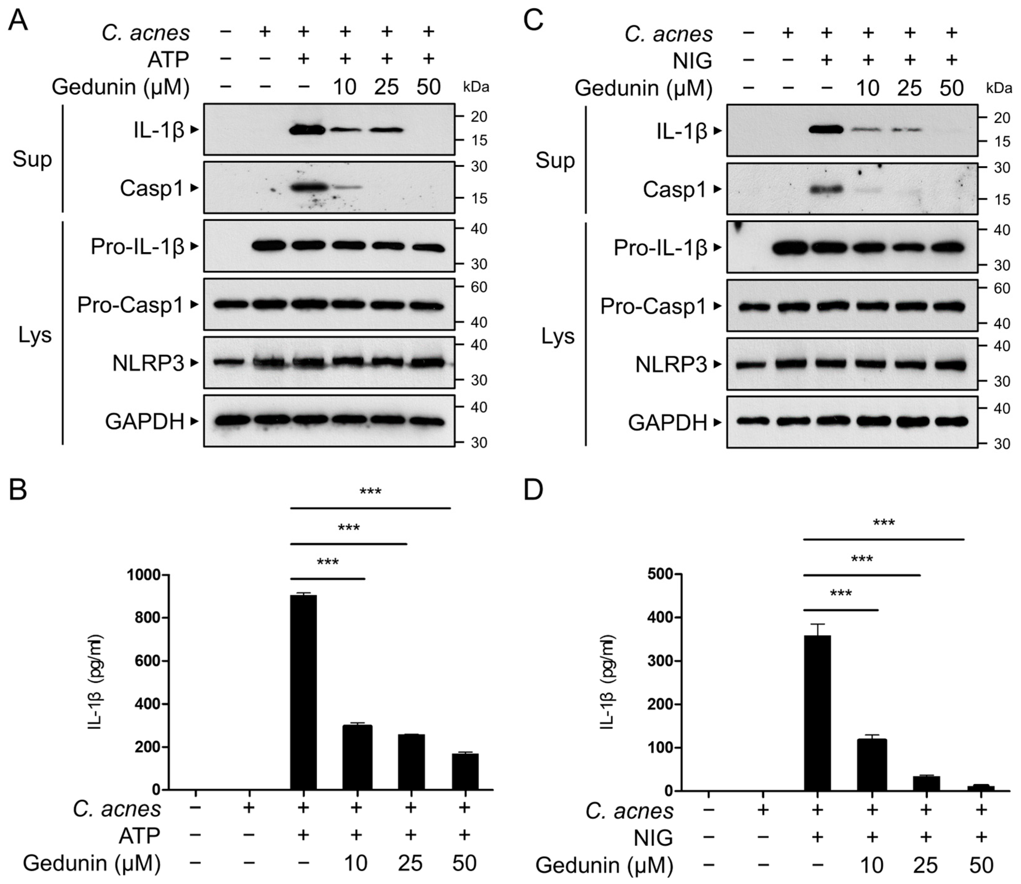 Pharmaceuticals 18 00071 g005
