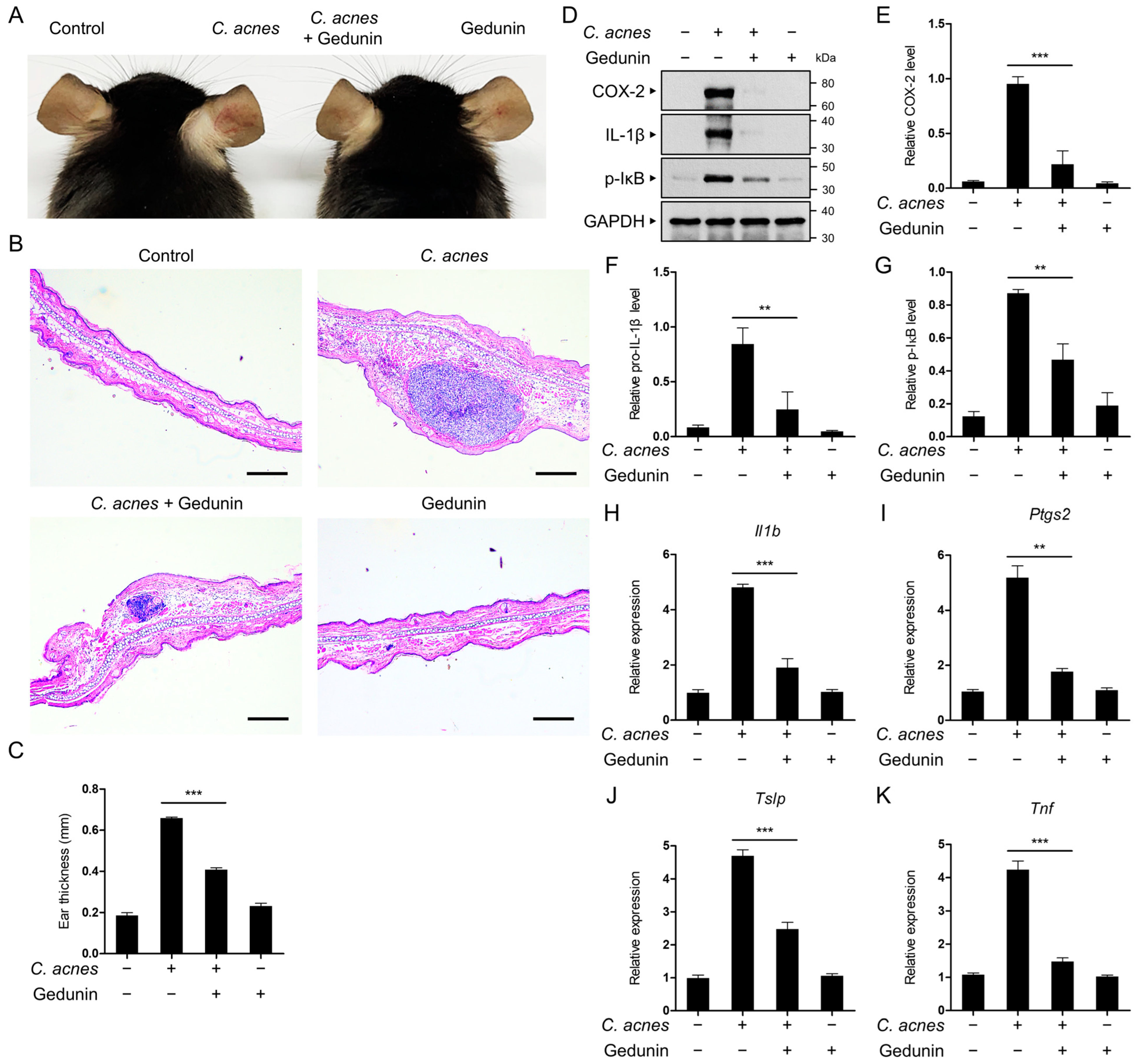 Pharmaceuticals 18 00071 g006