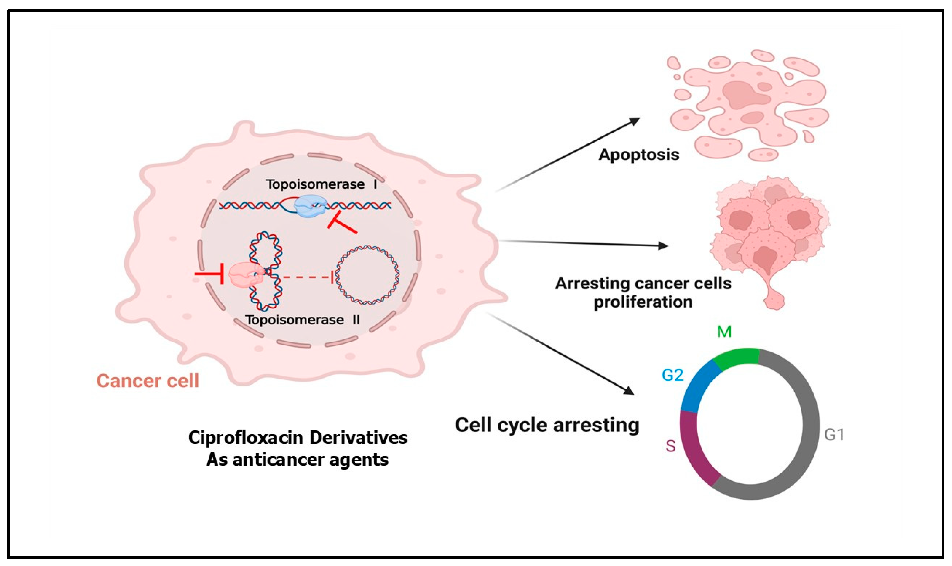 Pharmaceuticals 18 00072 g001 Pharmaceuticals 18 00072 g001