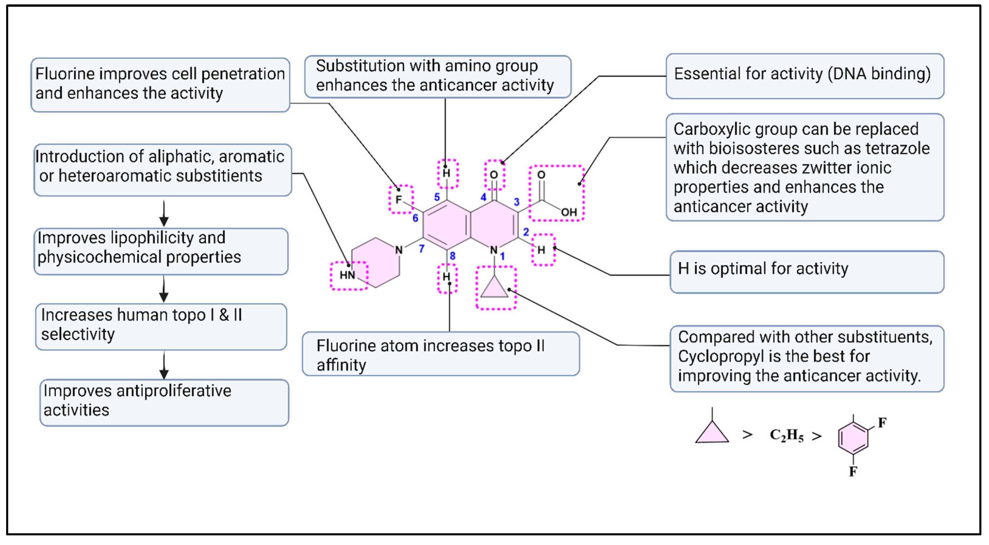 Pharmaceuticals 18 00072 g002 Pharmaceuticals 18 00072 g002