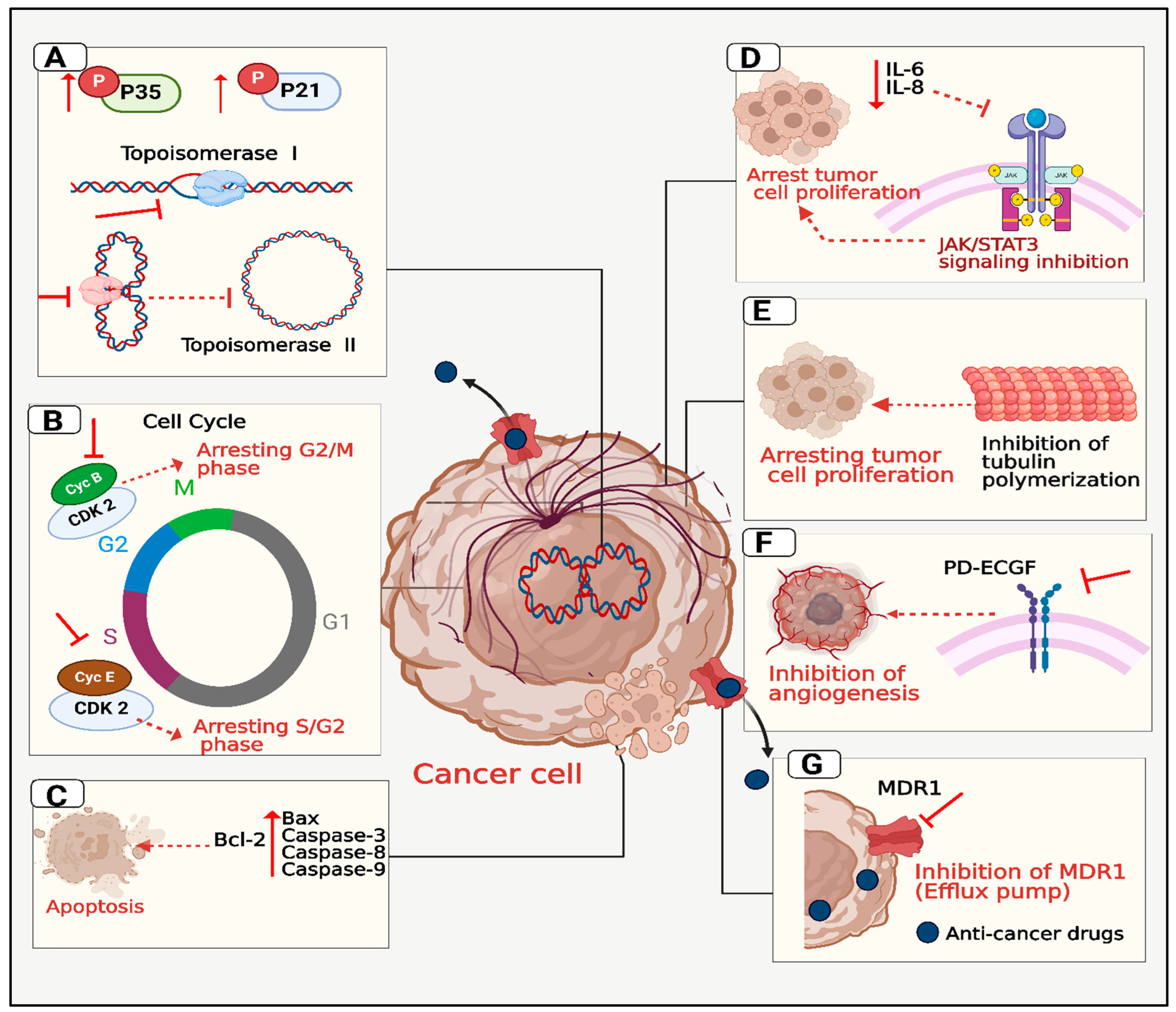 Pharmaceuticals 18 00072 g003 Pharmaceuticals 18 00072 g003