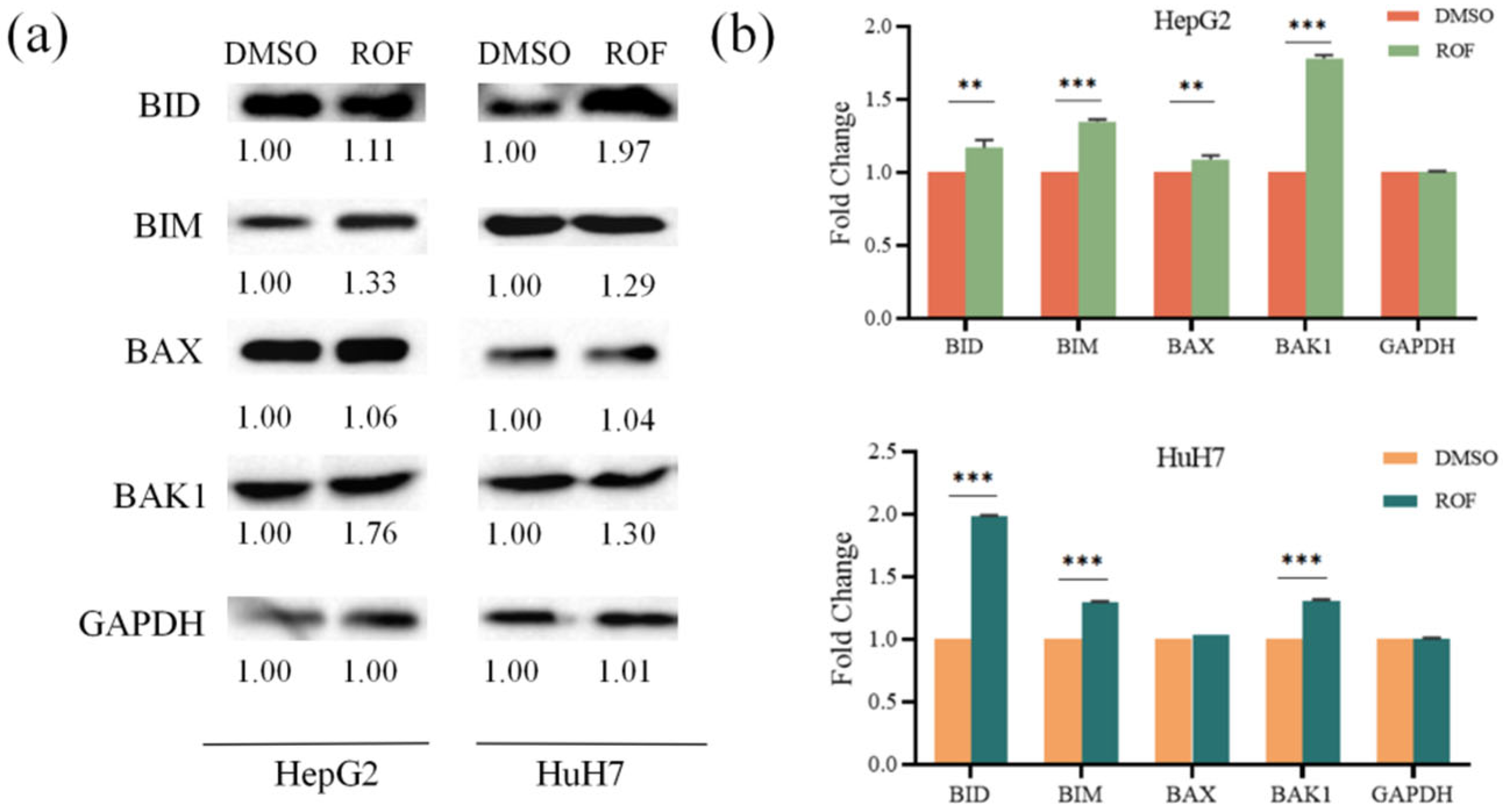 Pharmaceuticals 18 00079 g006