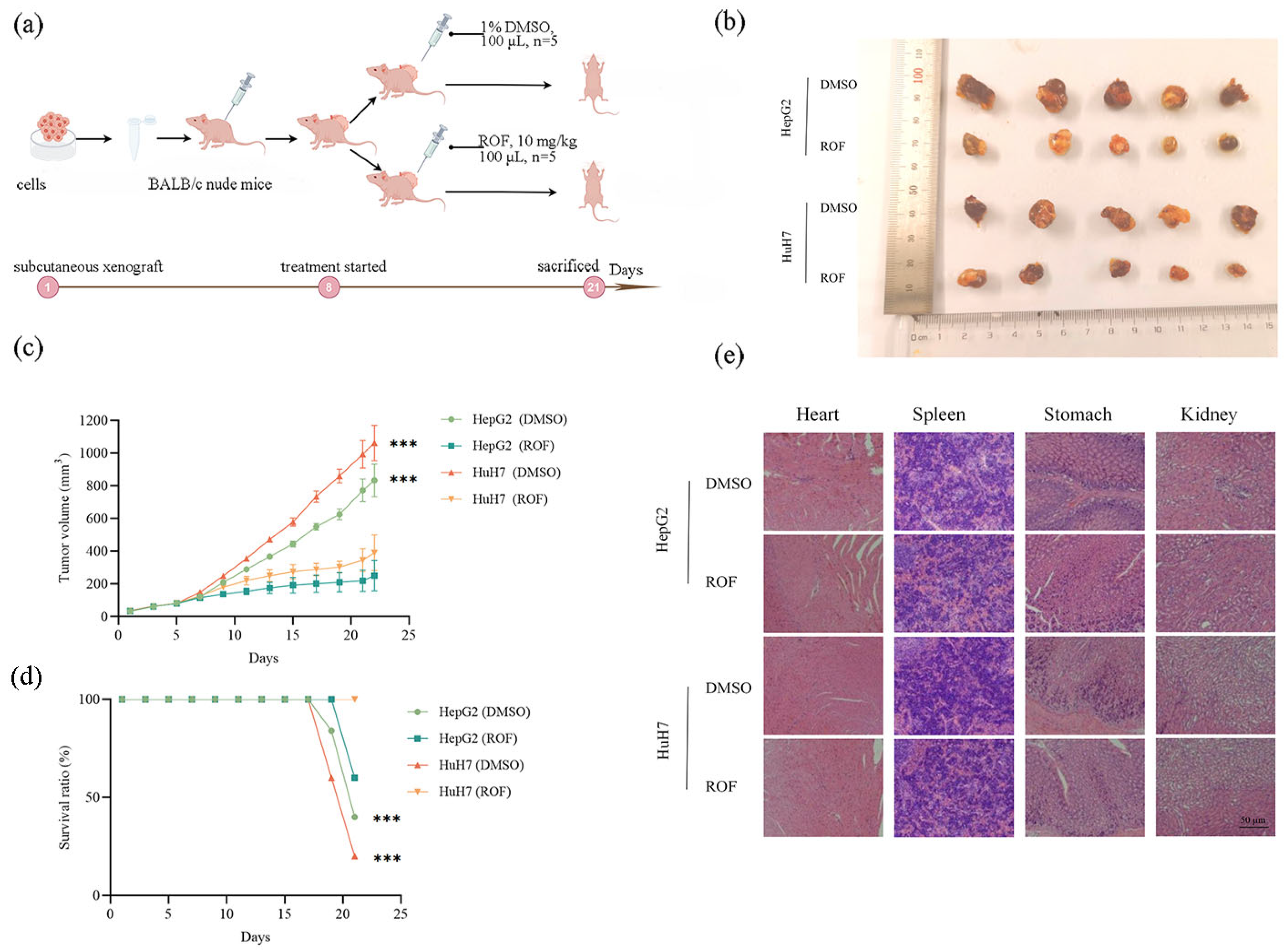 Pharmaceuticals 18 00079 g007