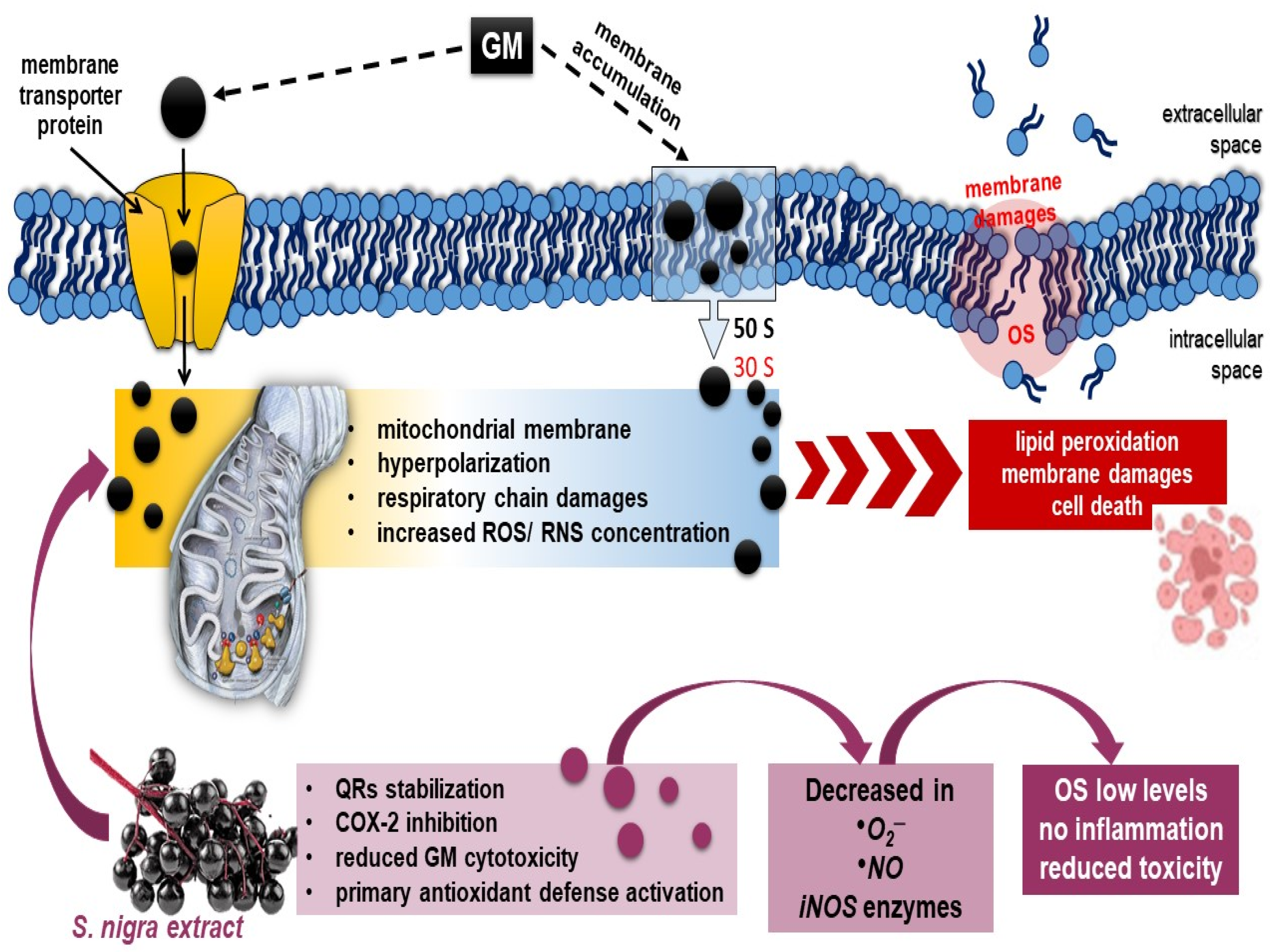 Pharmaceuticals 18 00085 sch001