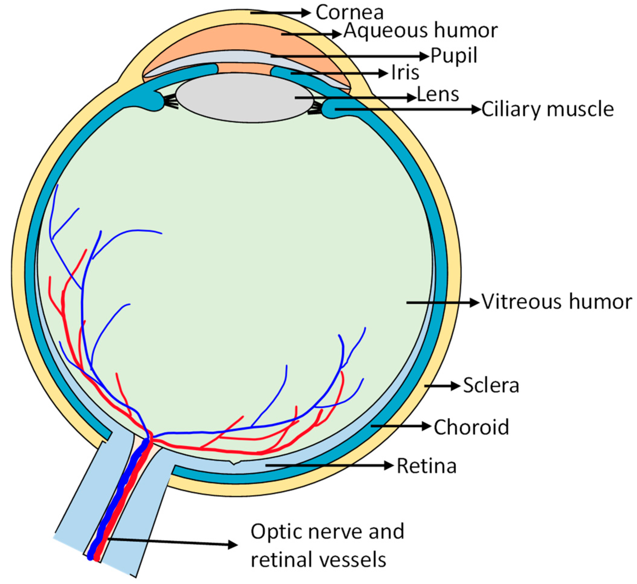Pharmaceuticals 18 00087 g001