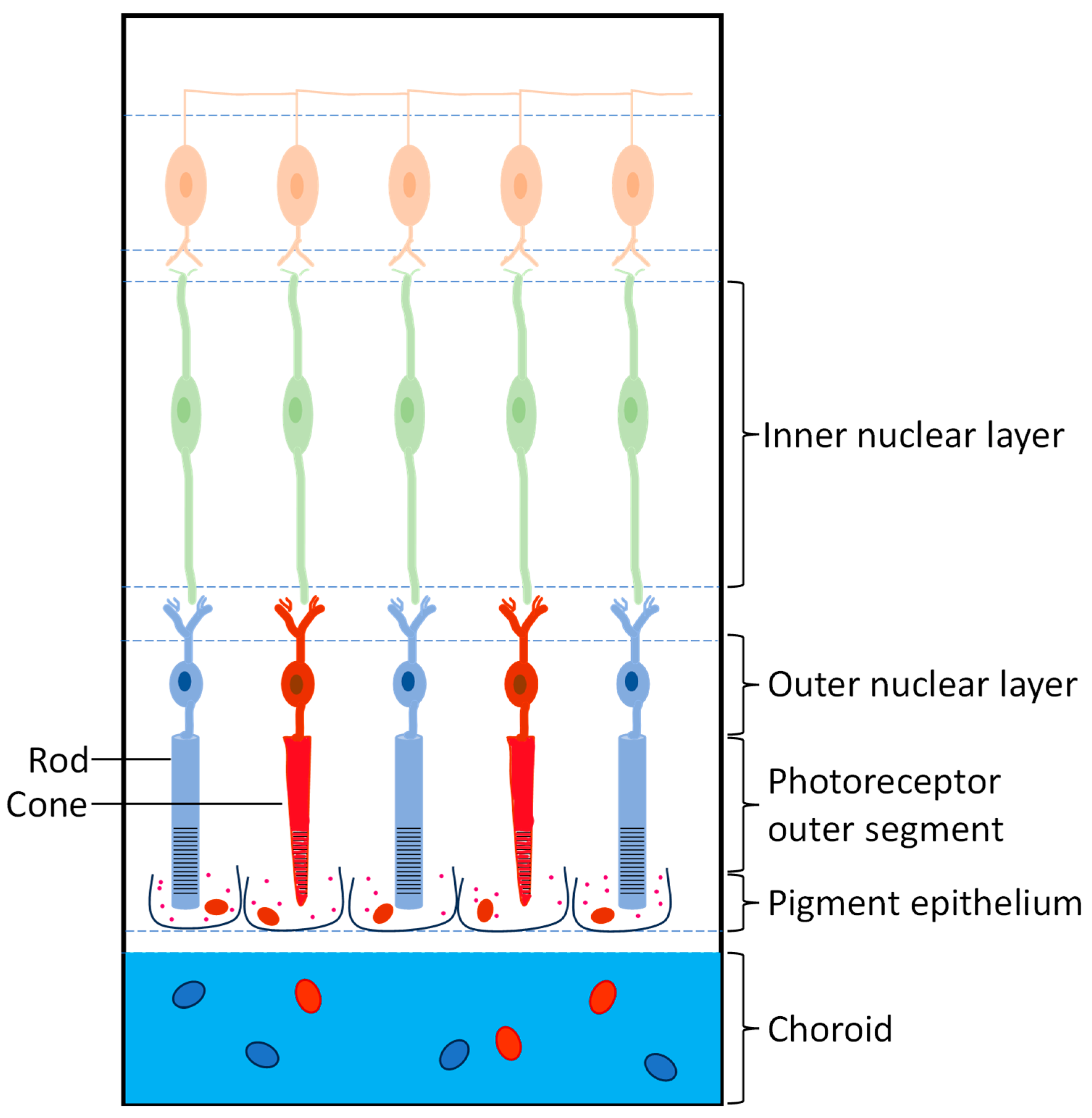 Pharmaceuticals 18 00087 g002