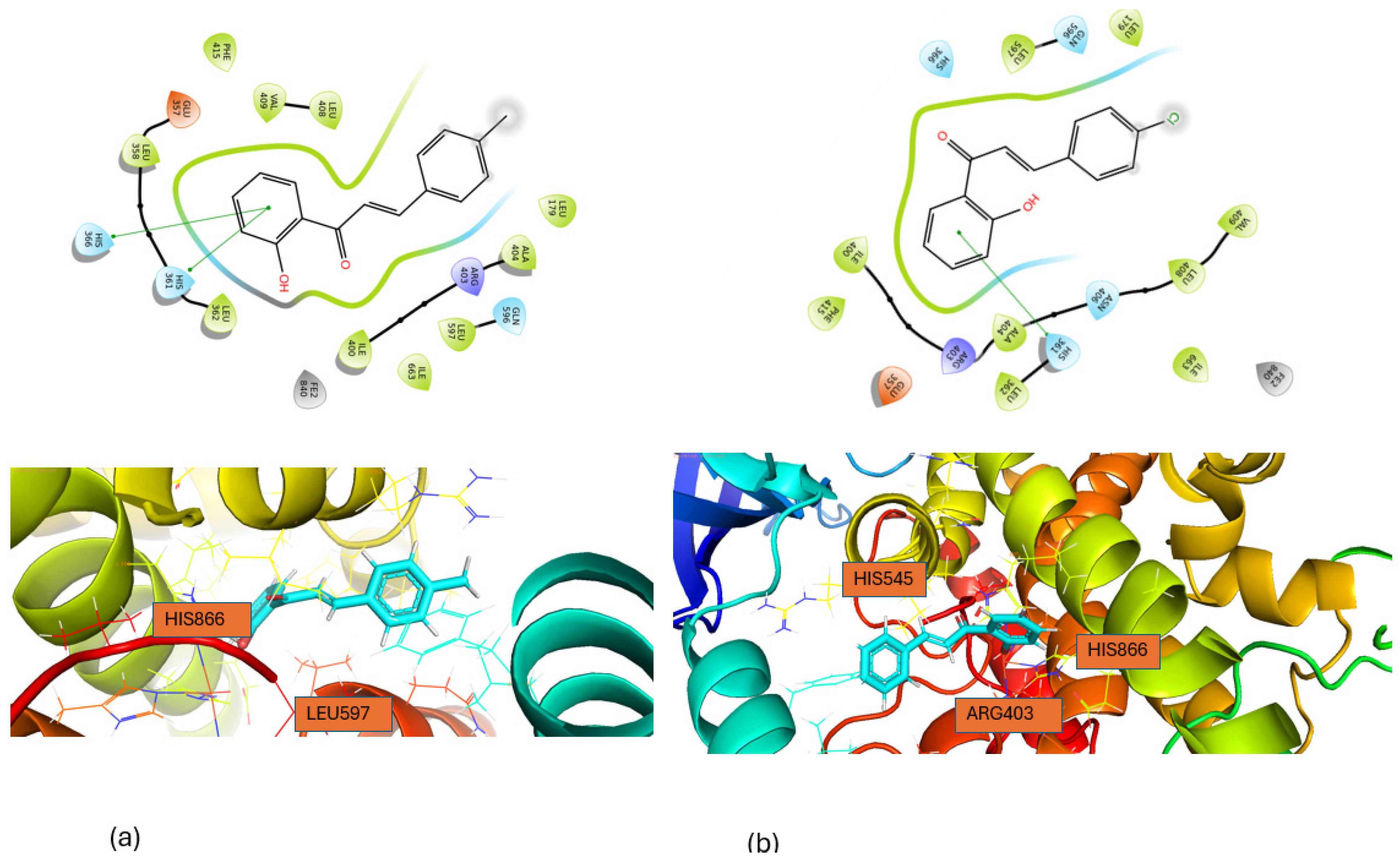 Pharmaceuticals 18 00088 g005