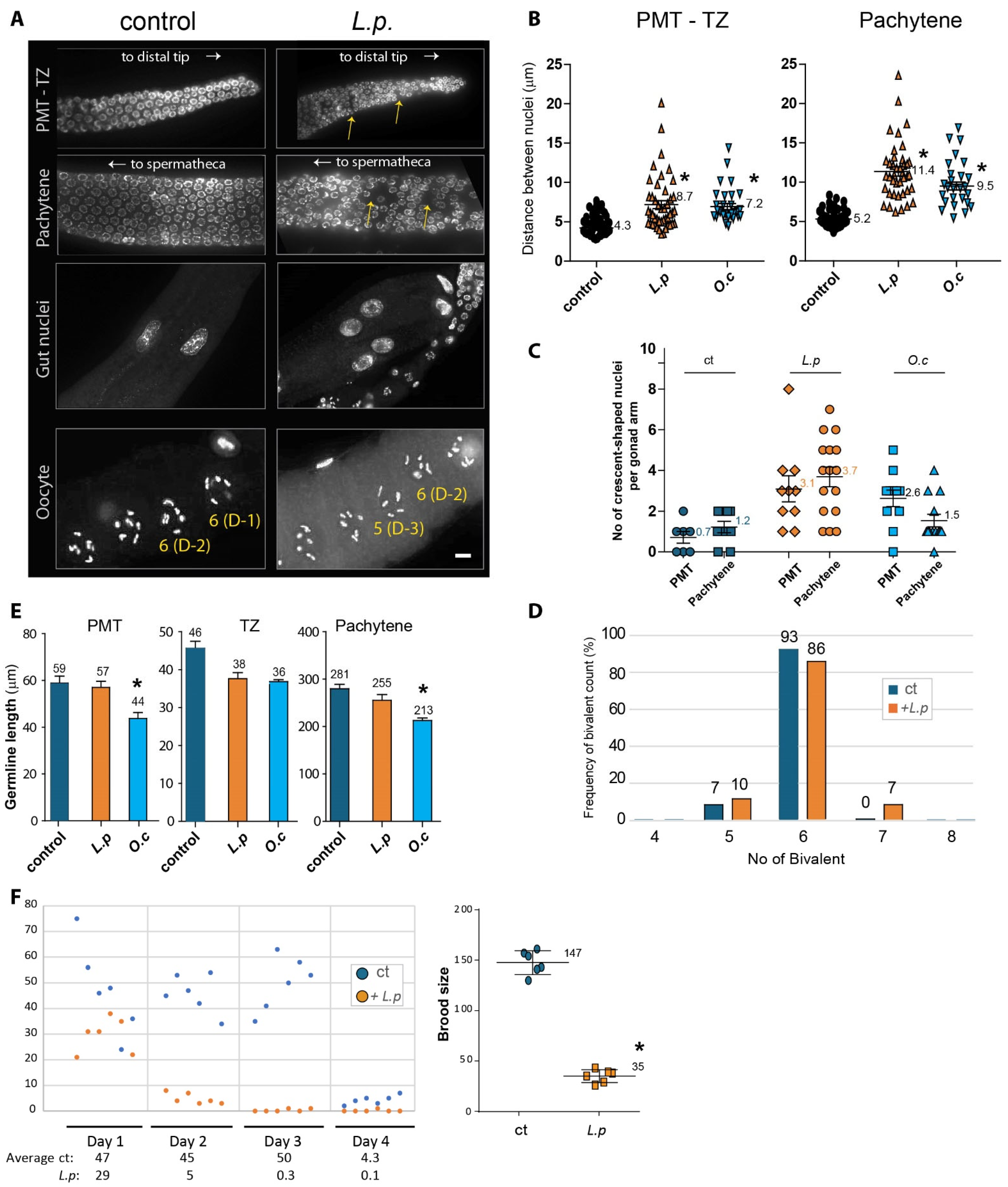 Pharmaceuticals 18 00089 g002 Pharmaceuticals 18 00089 g002