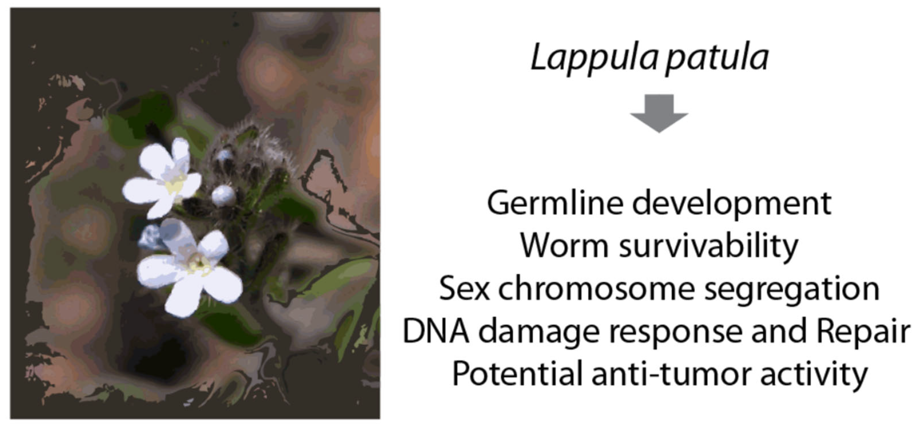 Pharmaceuticals 18 00089 g005 Pharmaceuticals 18 00089 g005