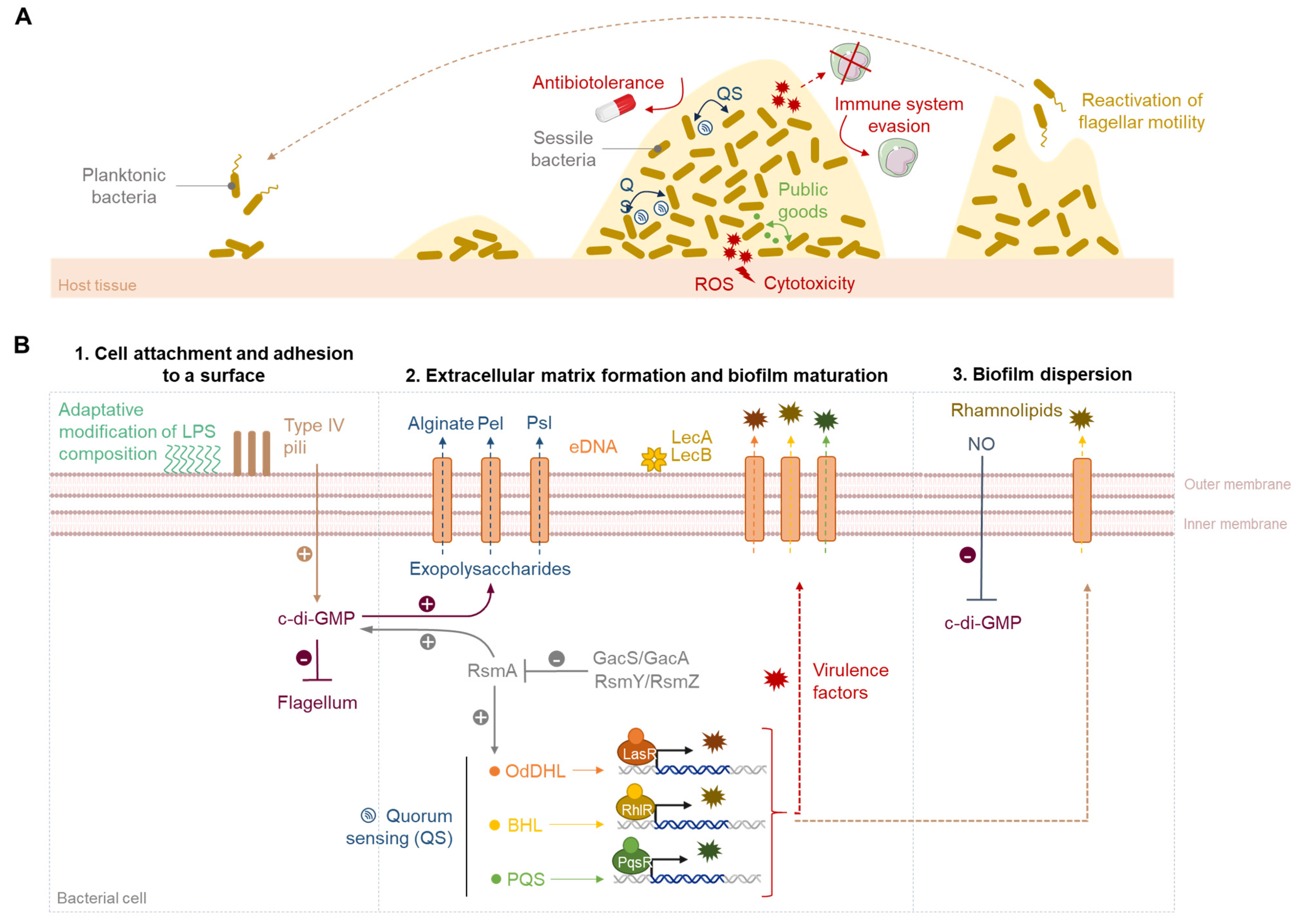 Pharmaceuticals 18 00092 g001