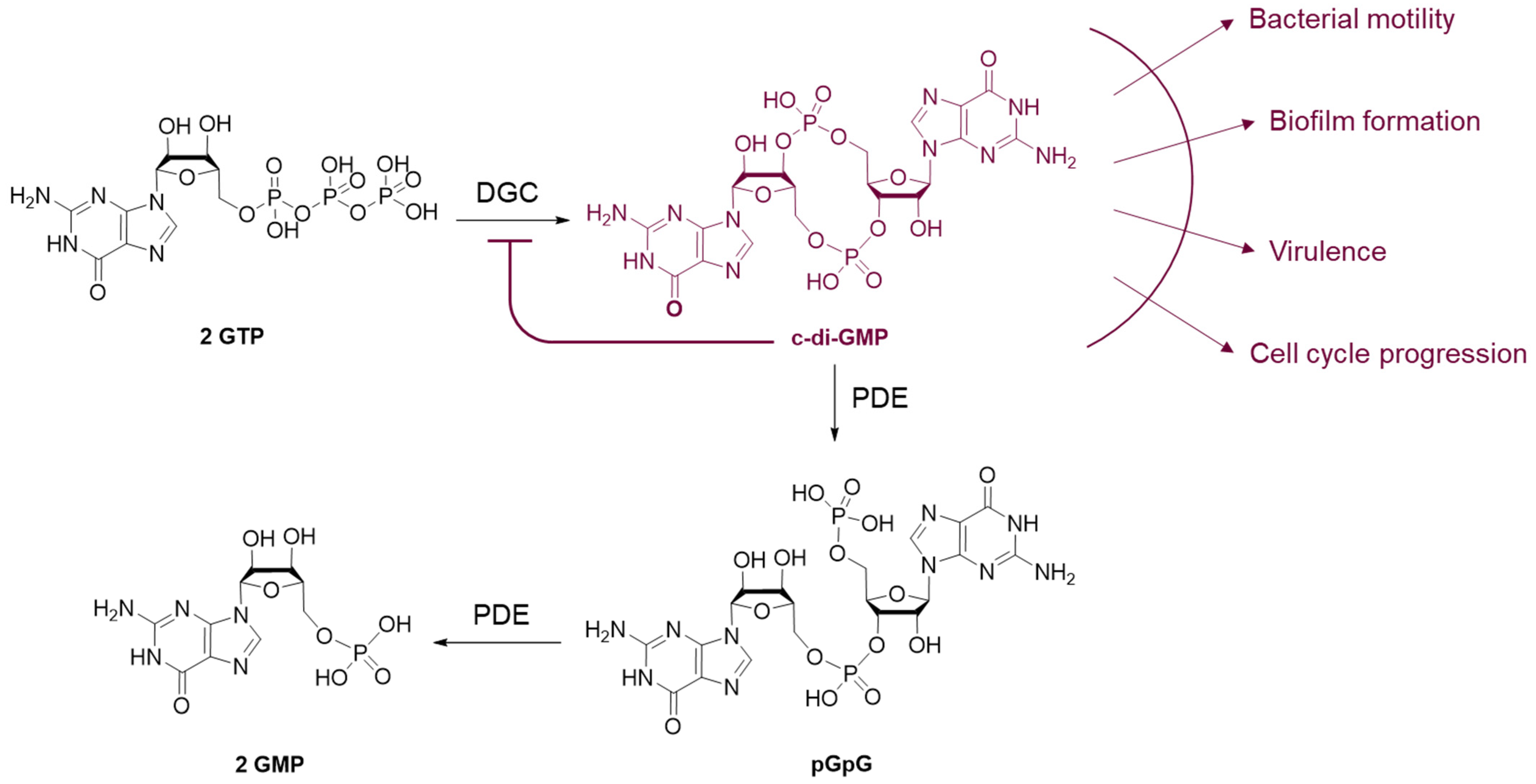 Pharmaceuticals 18 00092 g002