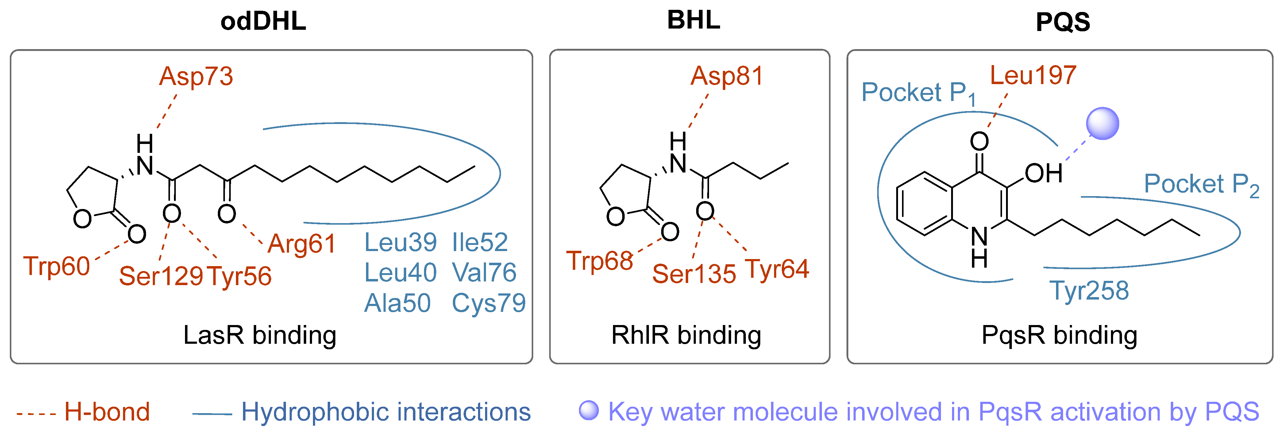 Pharmaceuticals 18 00092 g005