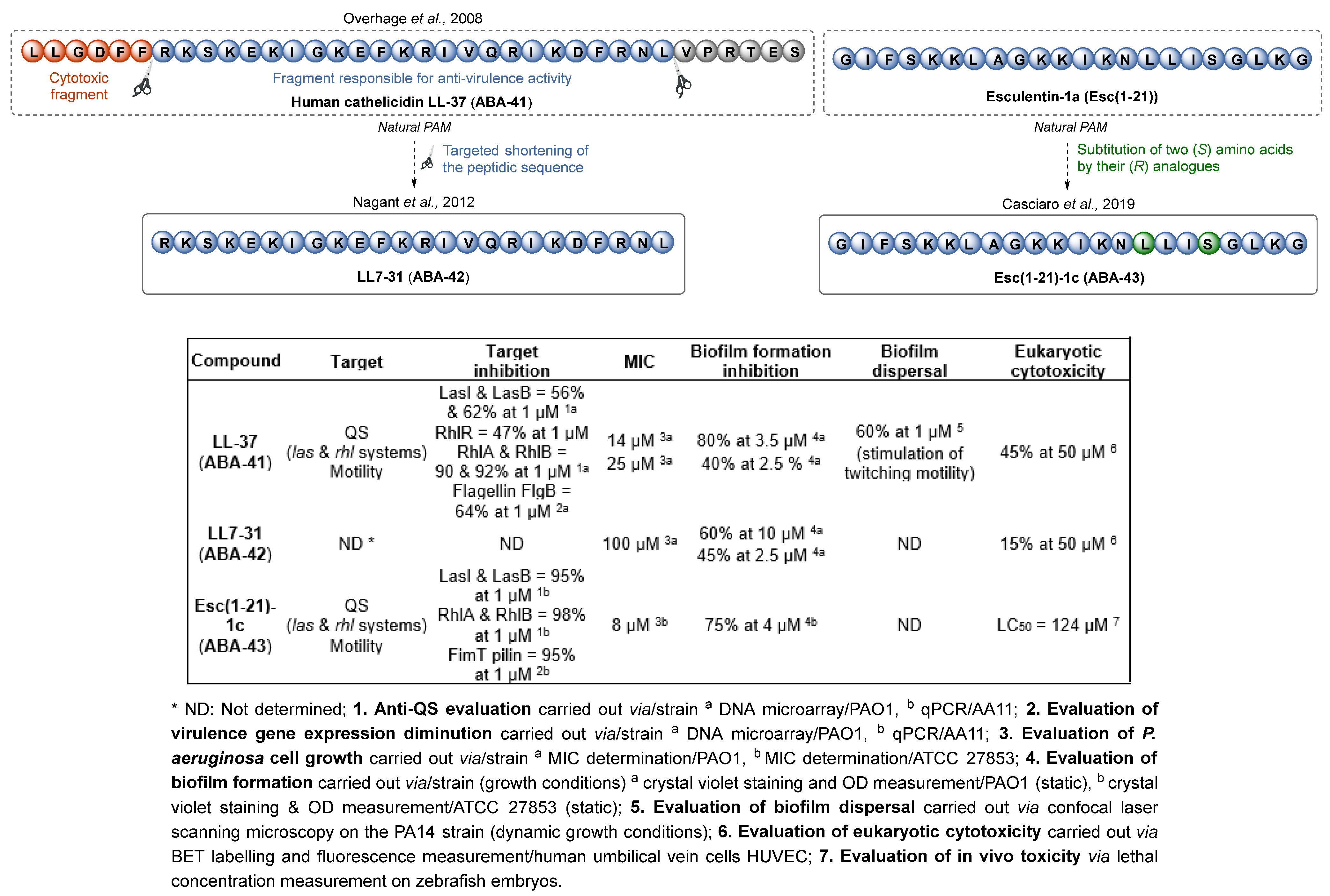 Pharmaceuticals 18 00092 g013