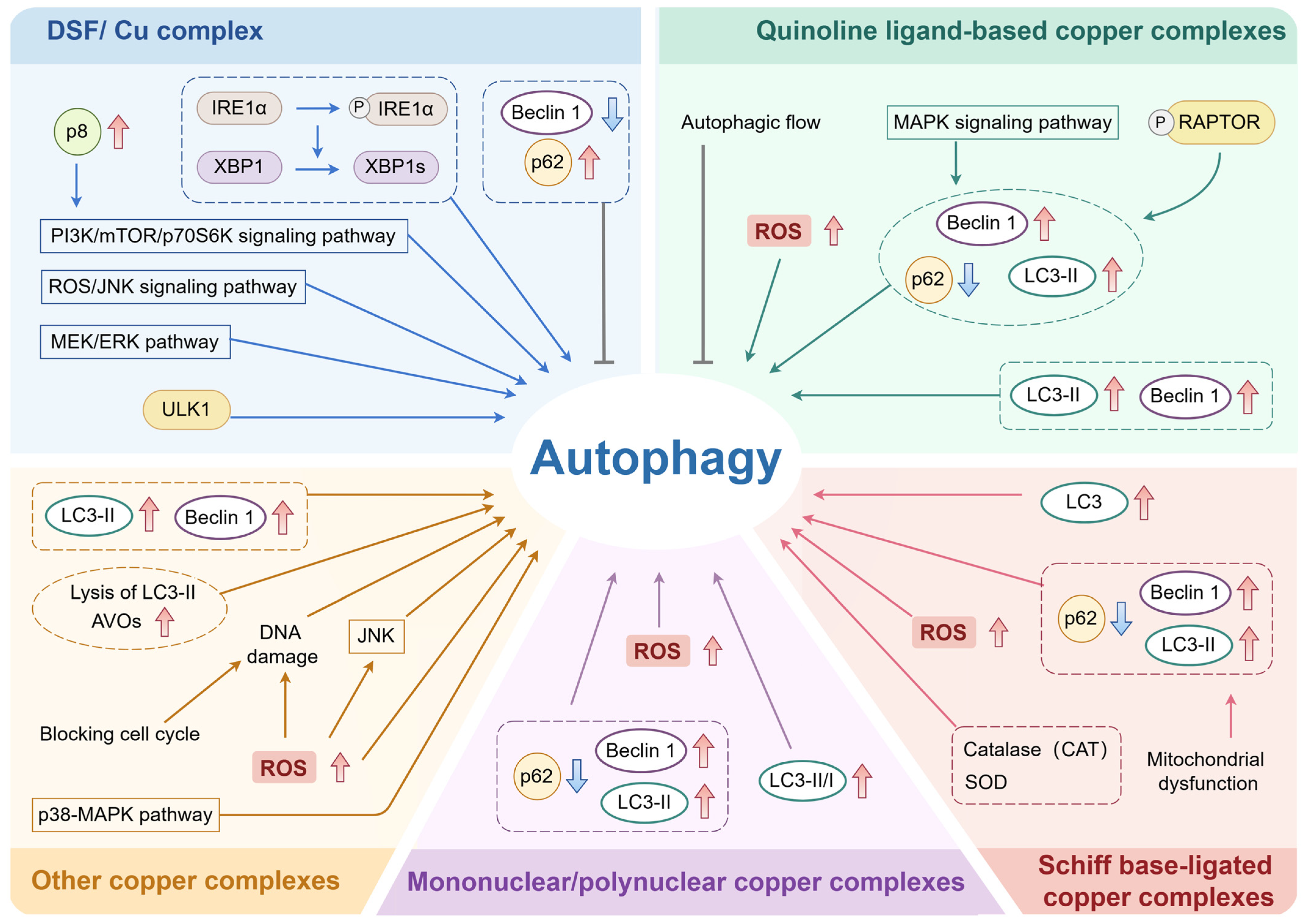 Pharmaceuticals 18 00099 g002
