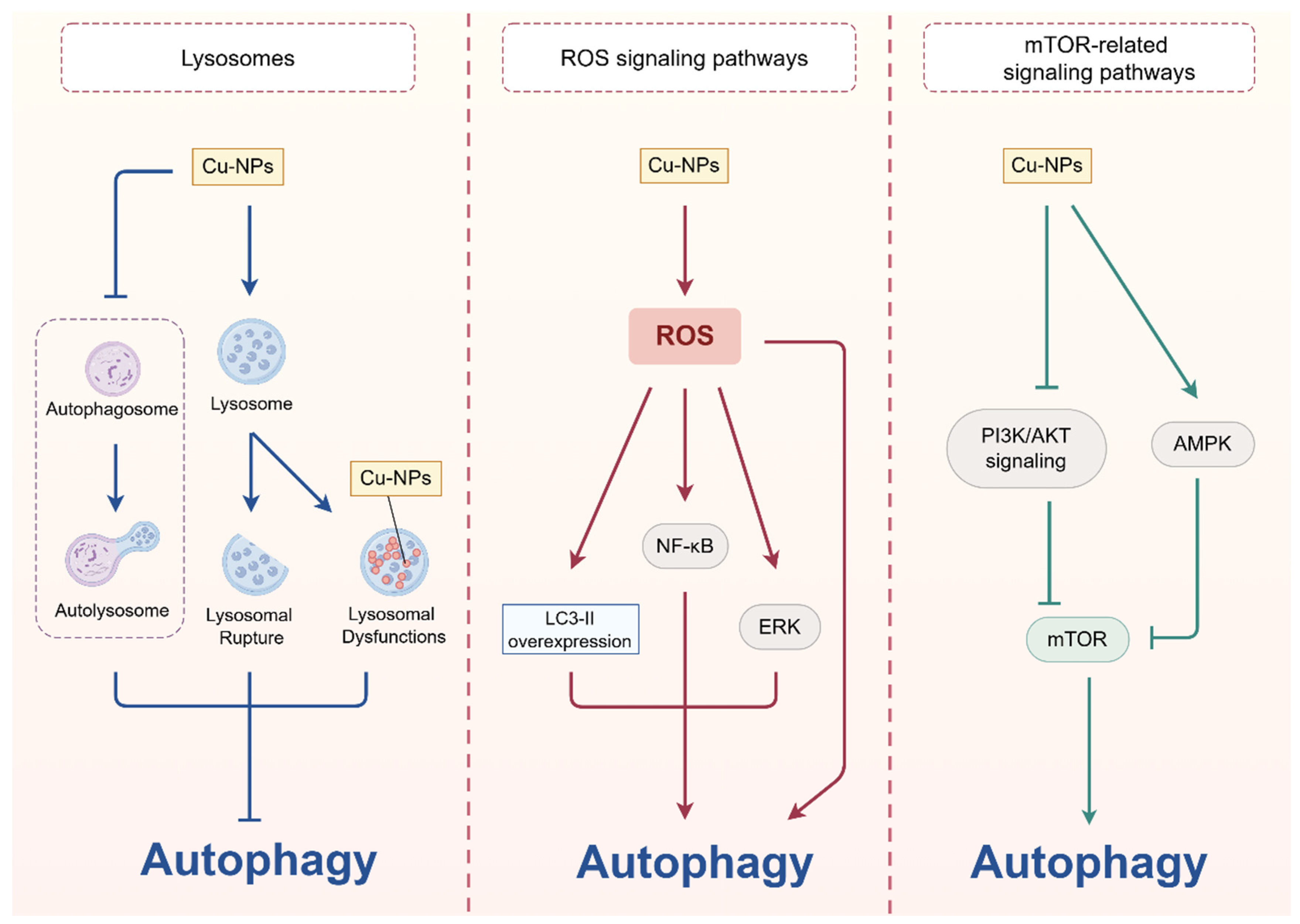 Pharmaceuticals 18 00099 g003