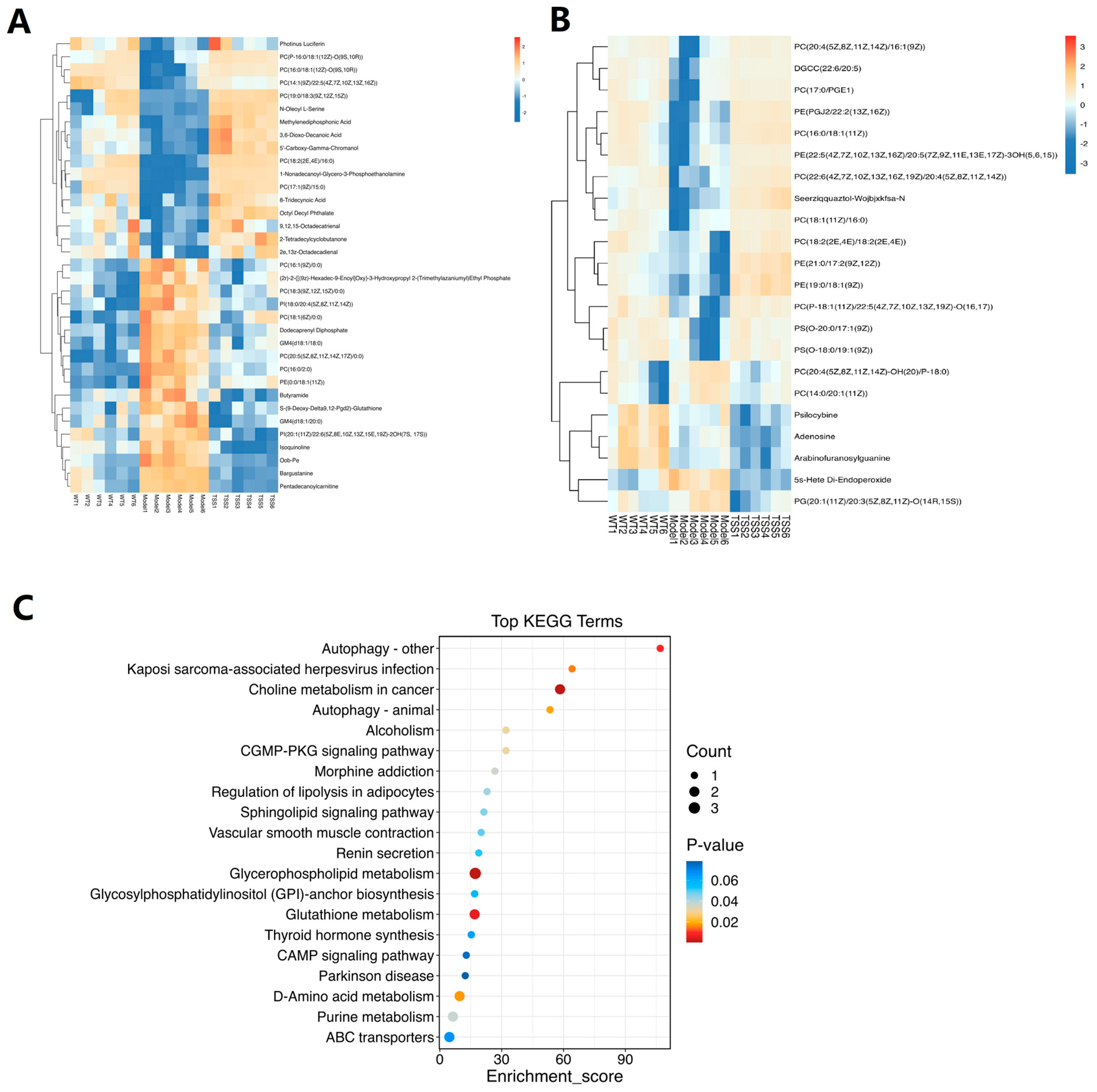 Pharmaceuticals 18 00100 g004