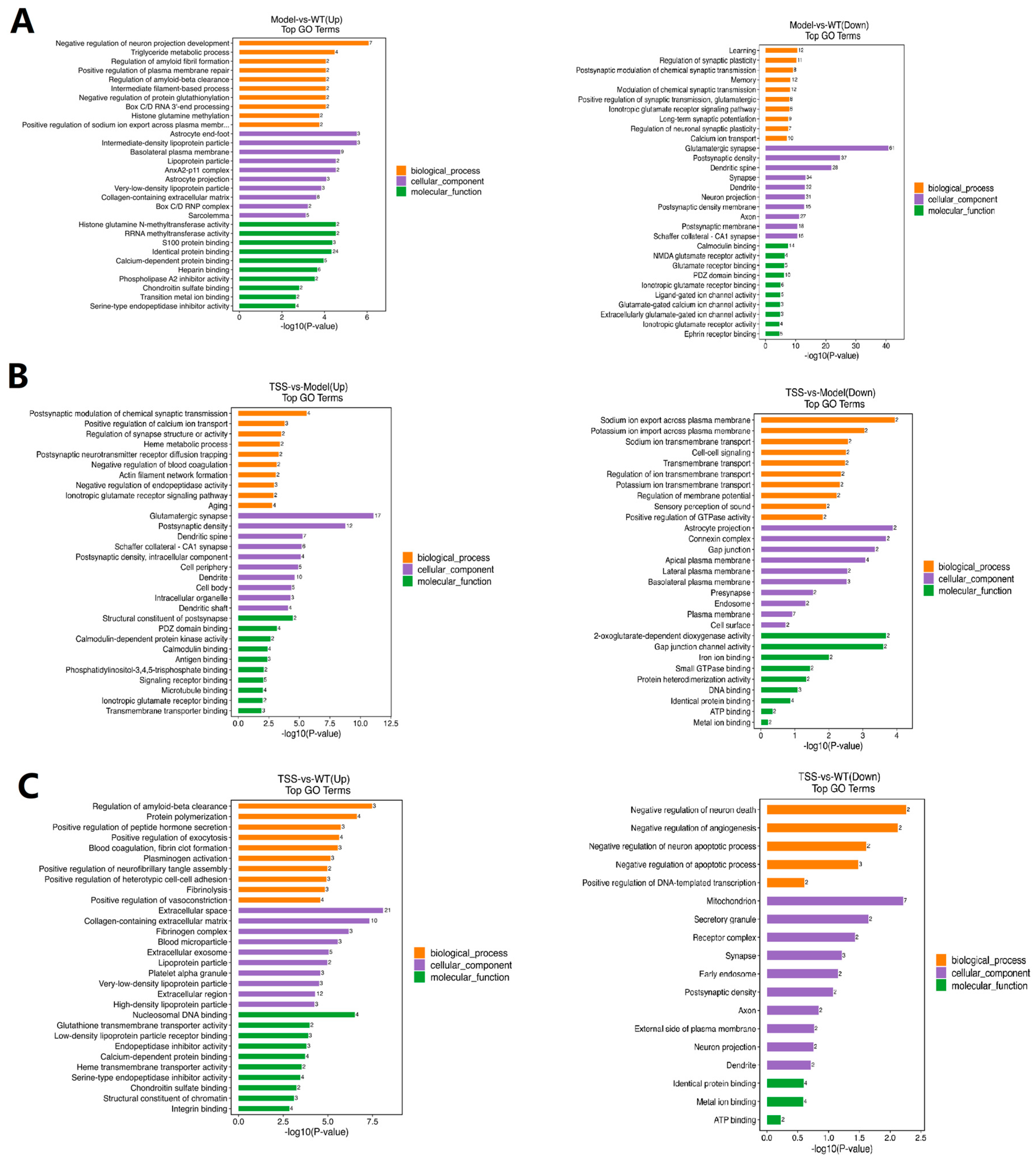 Pharmaceuticals 18 00100 g006