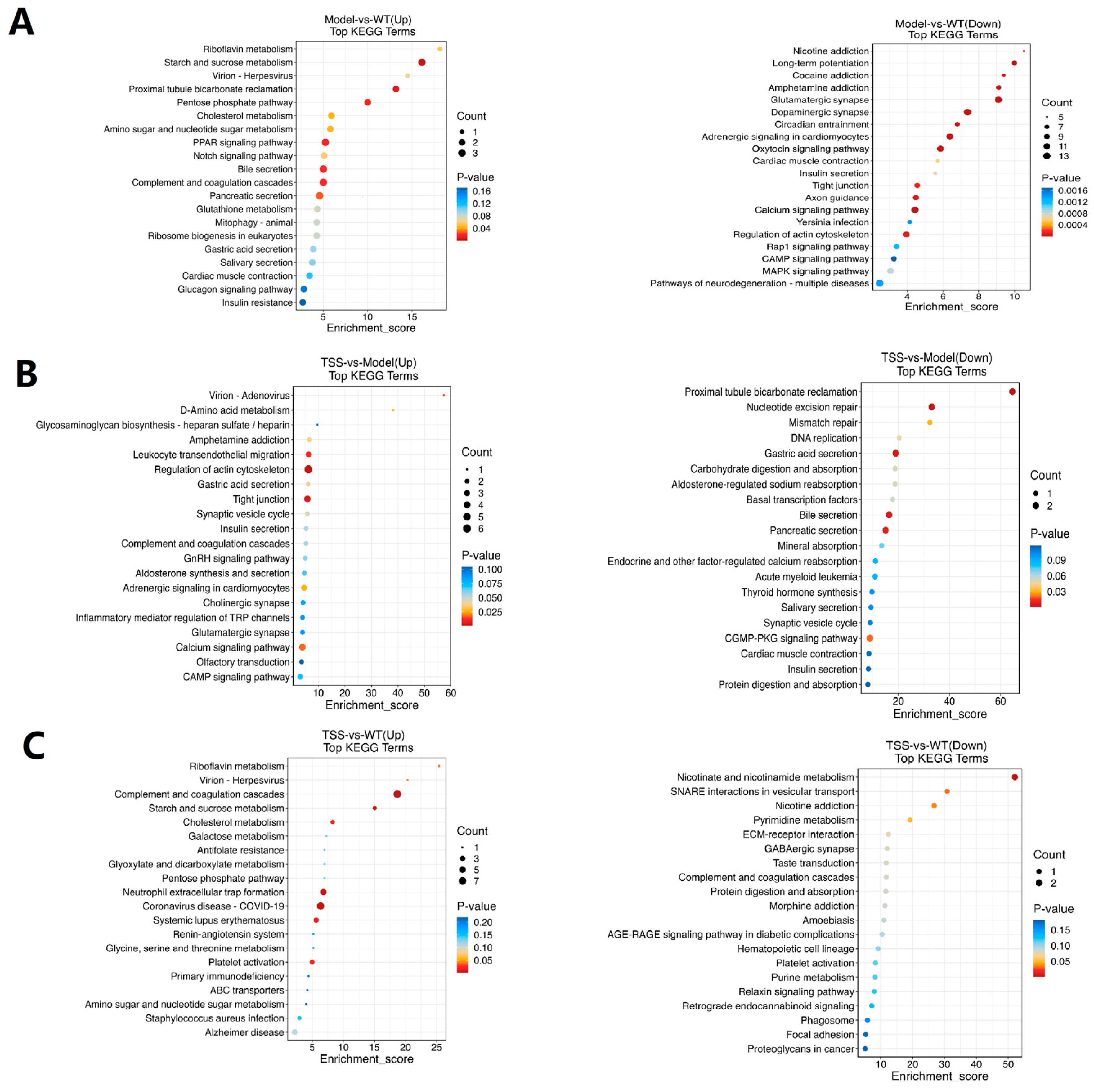 Pharmaceuticals 18 00100 g007