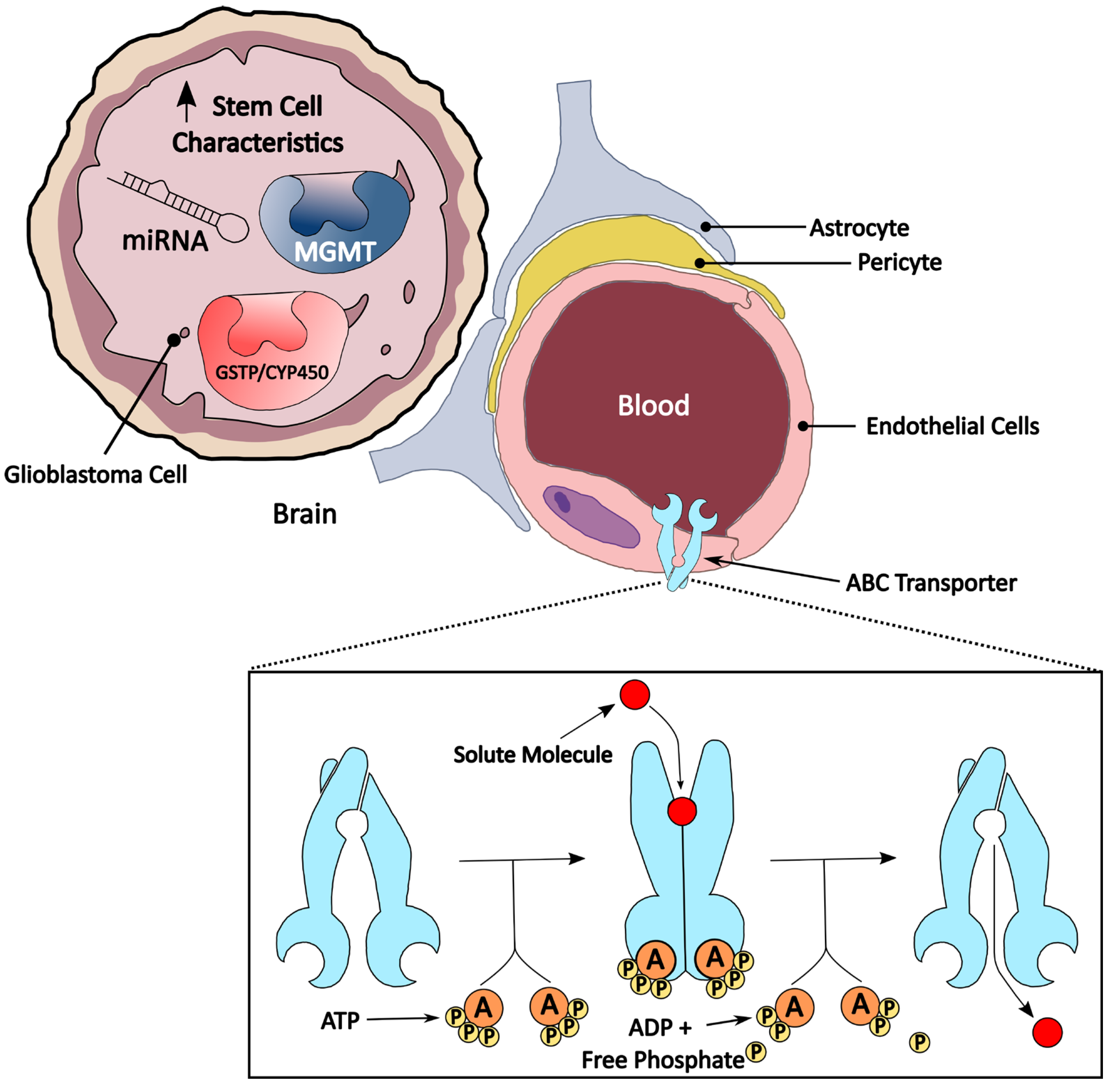 Pharmaceuticals 18 00102 g001