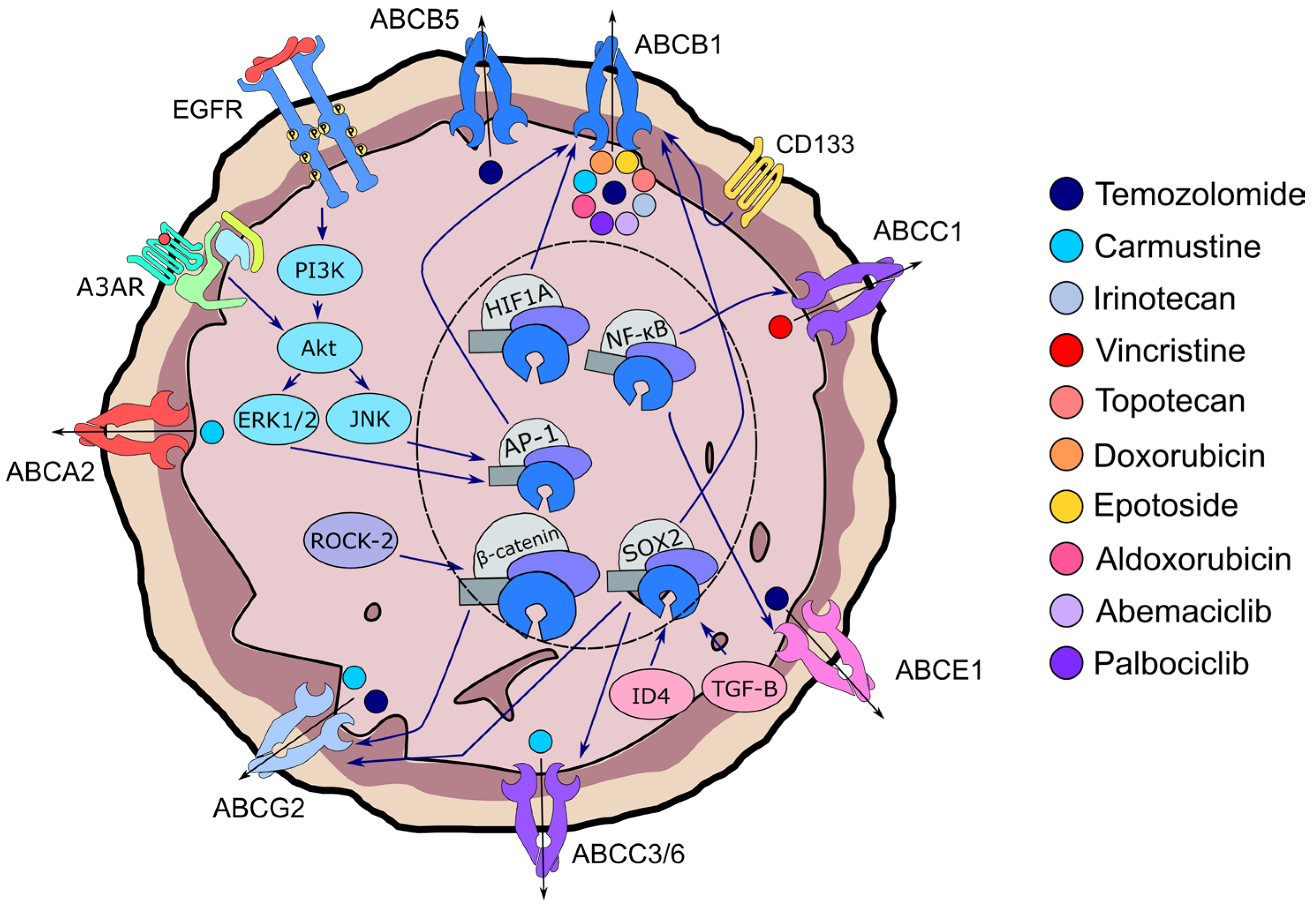Pharmaceuticals 18 00102 g003