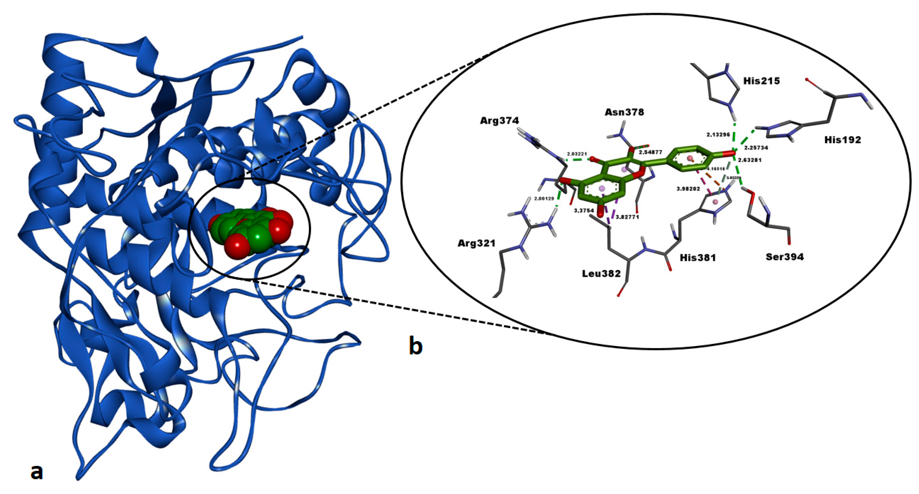 Pharmaceuticals 18 00103 g010