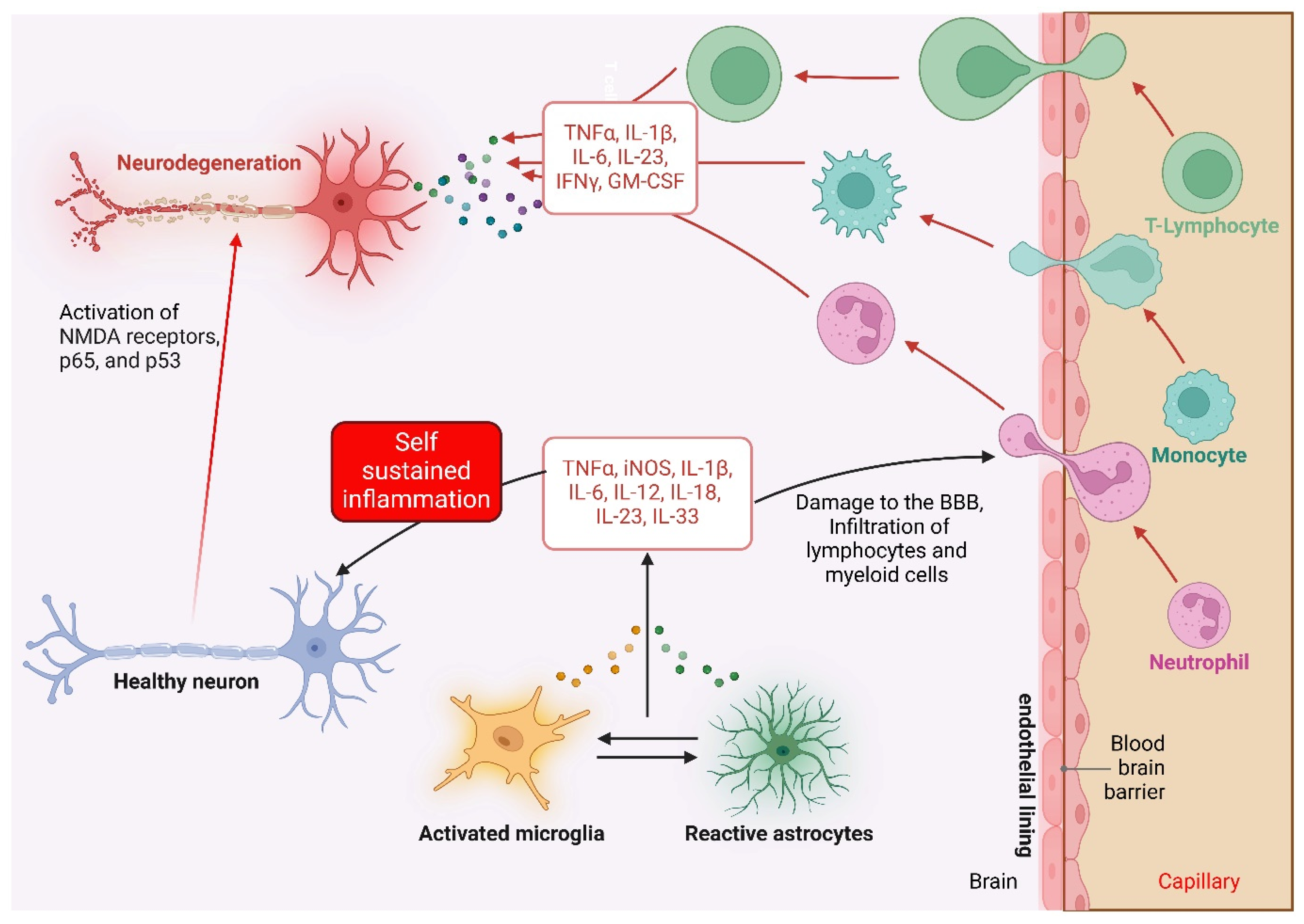 Pharmaceuticals 18 00104 g001