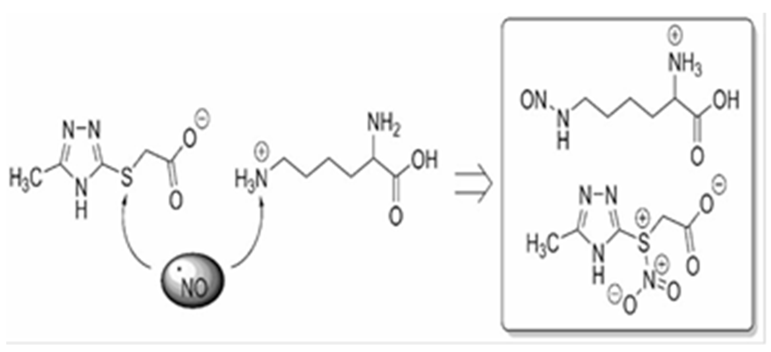 Pharmaceuticals 18 00106 g001