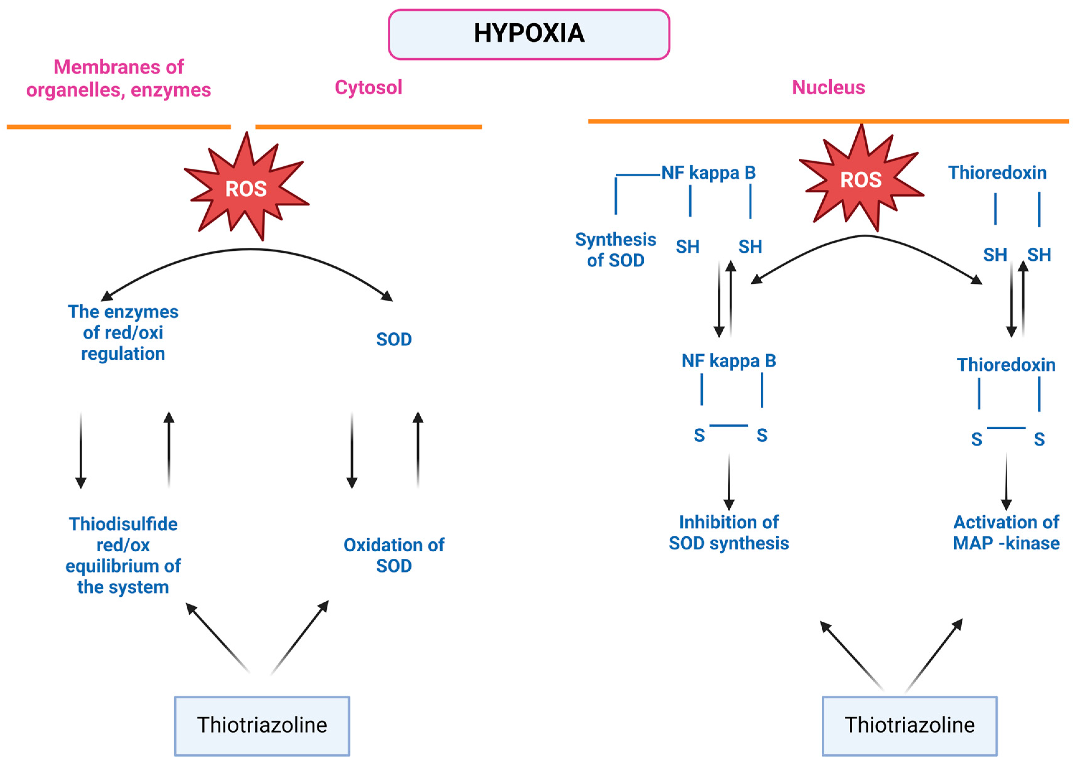 Pharmaceuticals 18 00106 g003