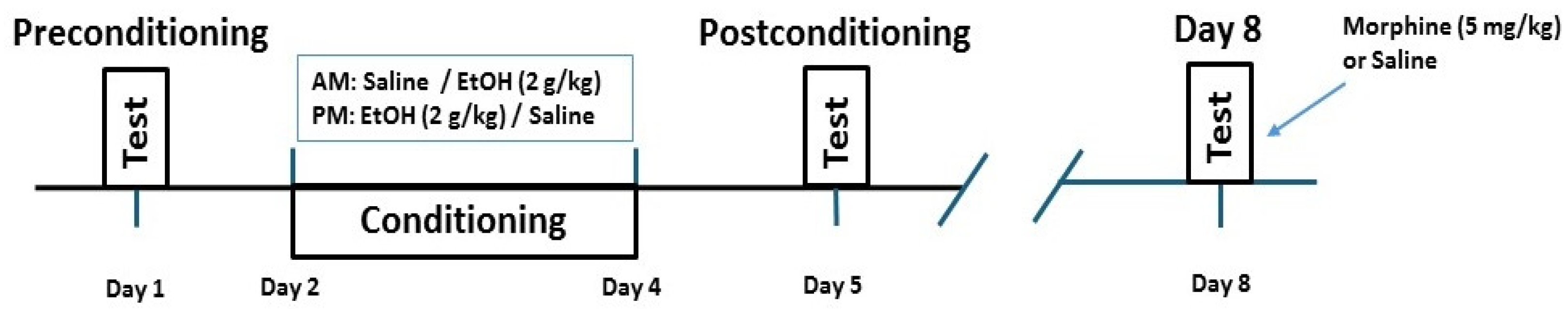 Pharmaceuticals 18 00107 g006 Pharmaceuticals 18 00107 g006