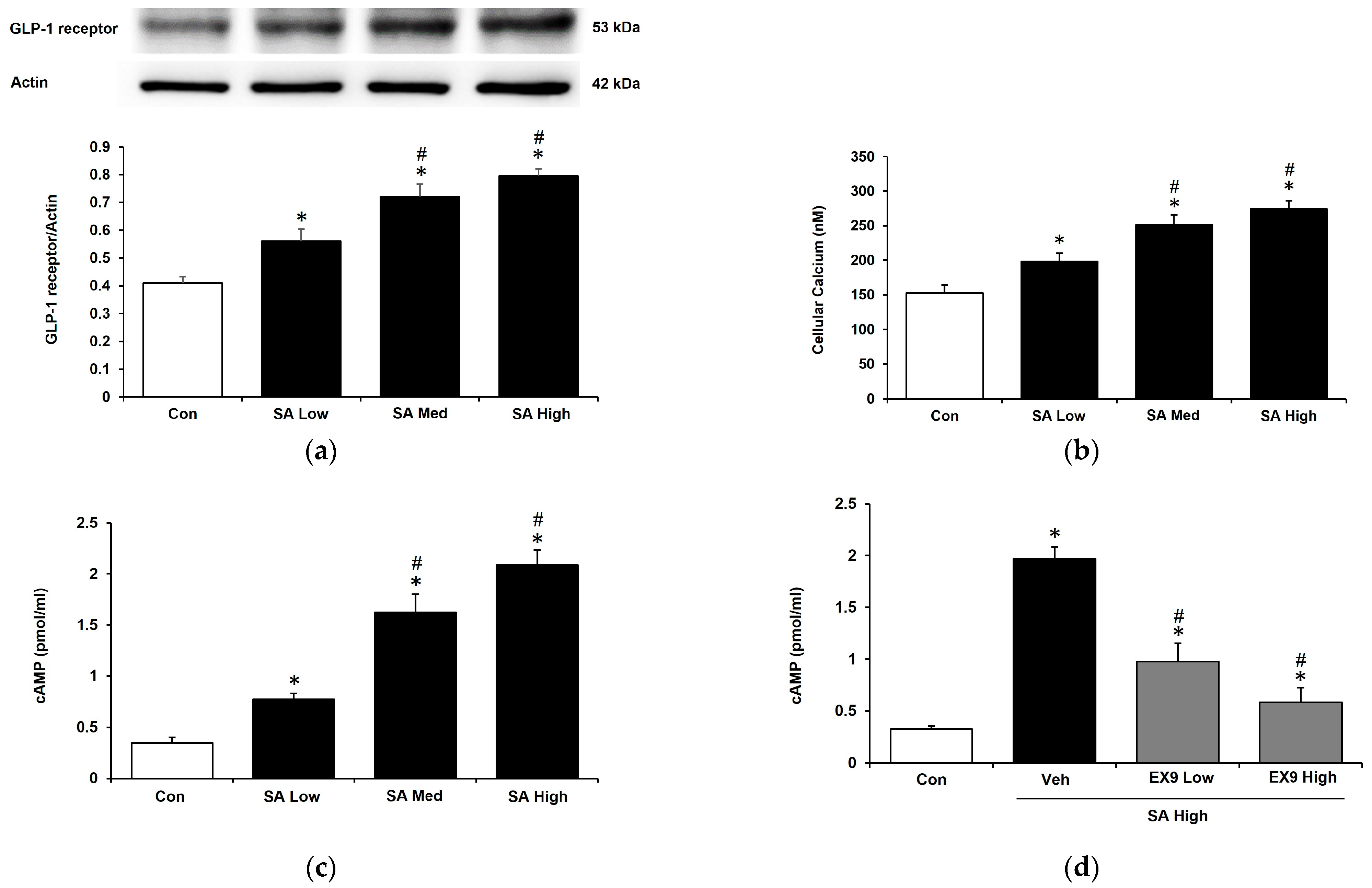 Pharmaceuticals 18 00110 g001