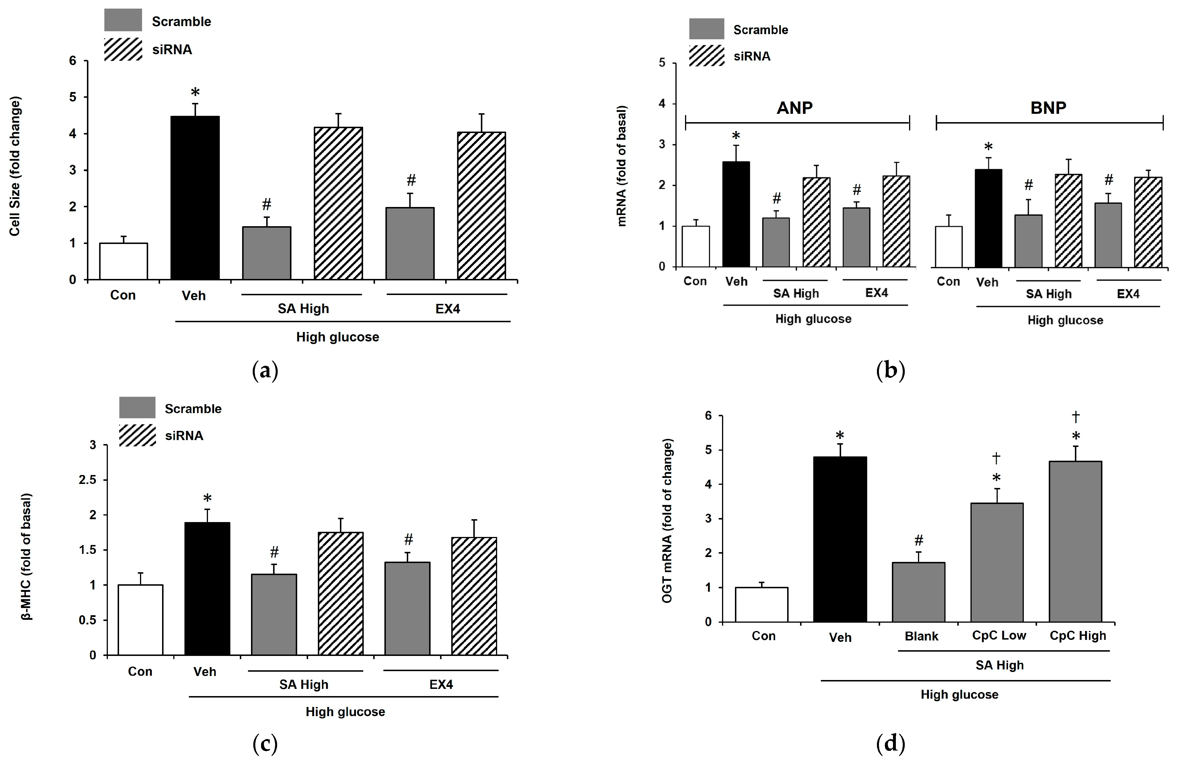 Pharmaceuticals 18 00110 g004