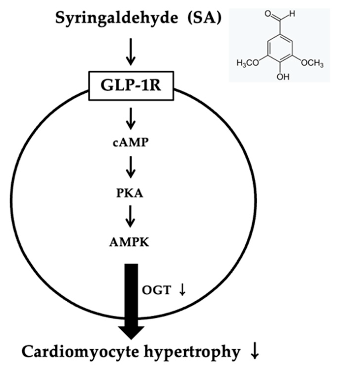 Pharmaceuticals 18 00110 g005