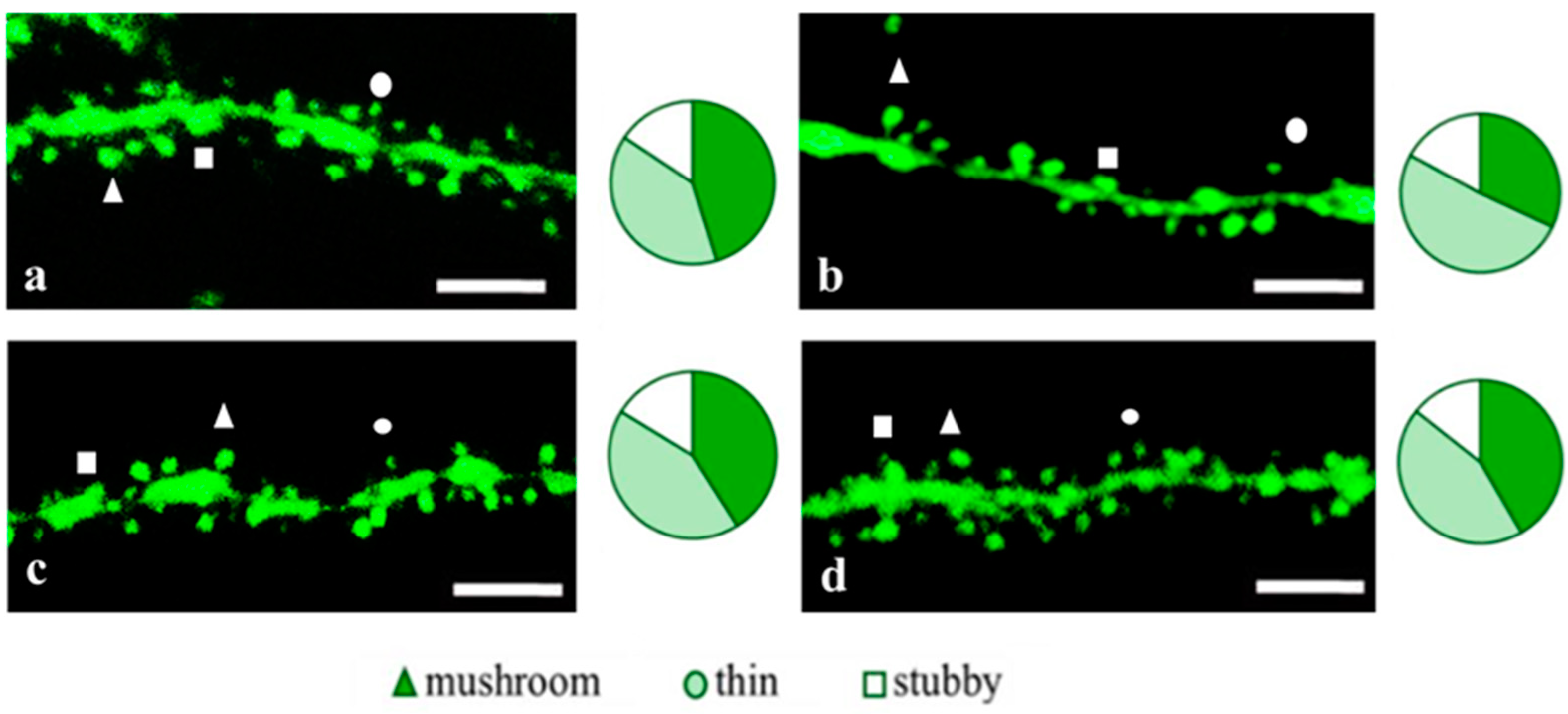 Pharmaceuticals 18 00111 g005