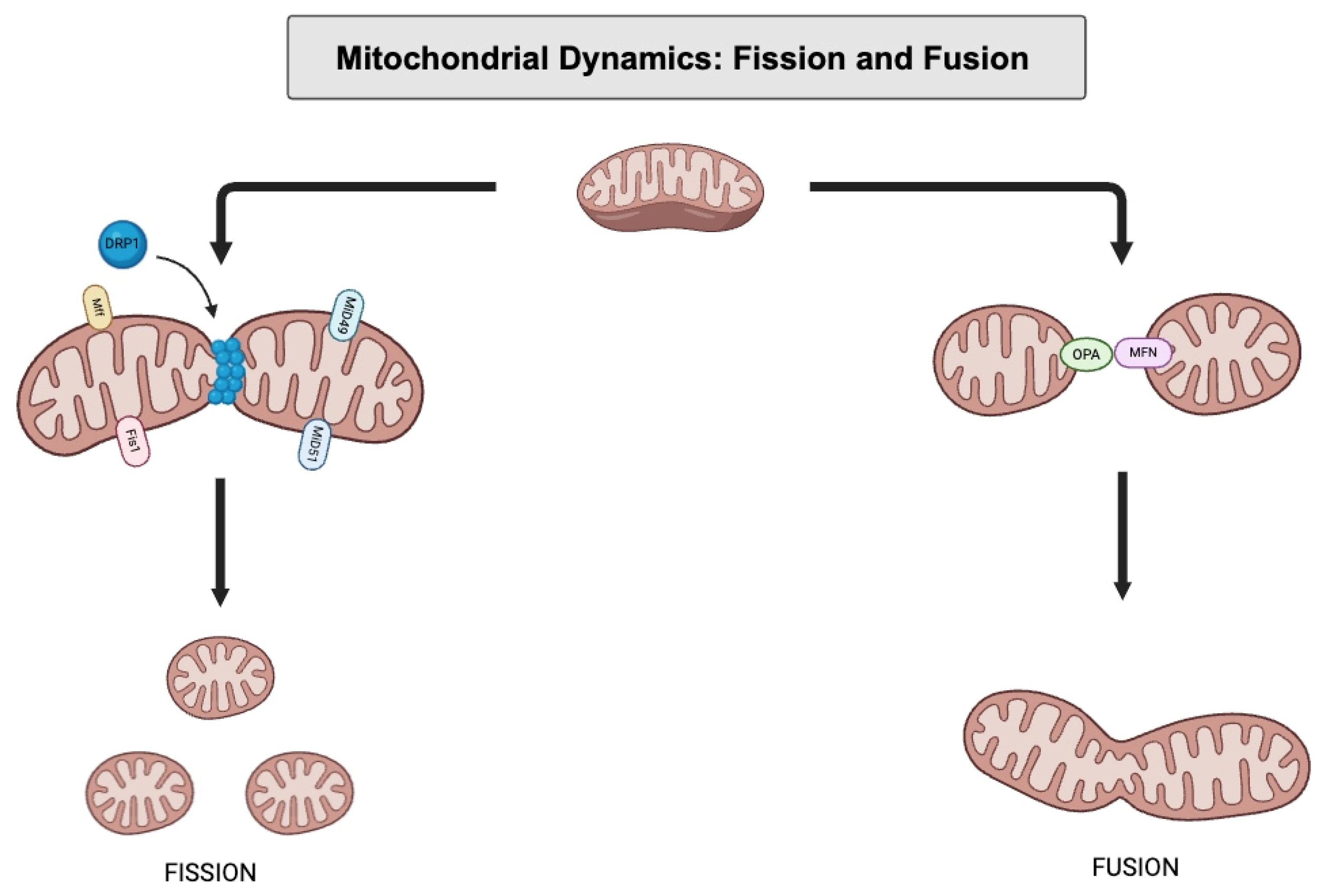 Pharmaceuticals 18 00112 g003