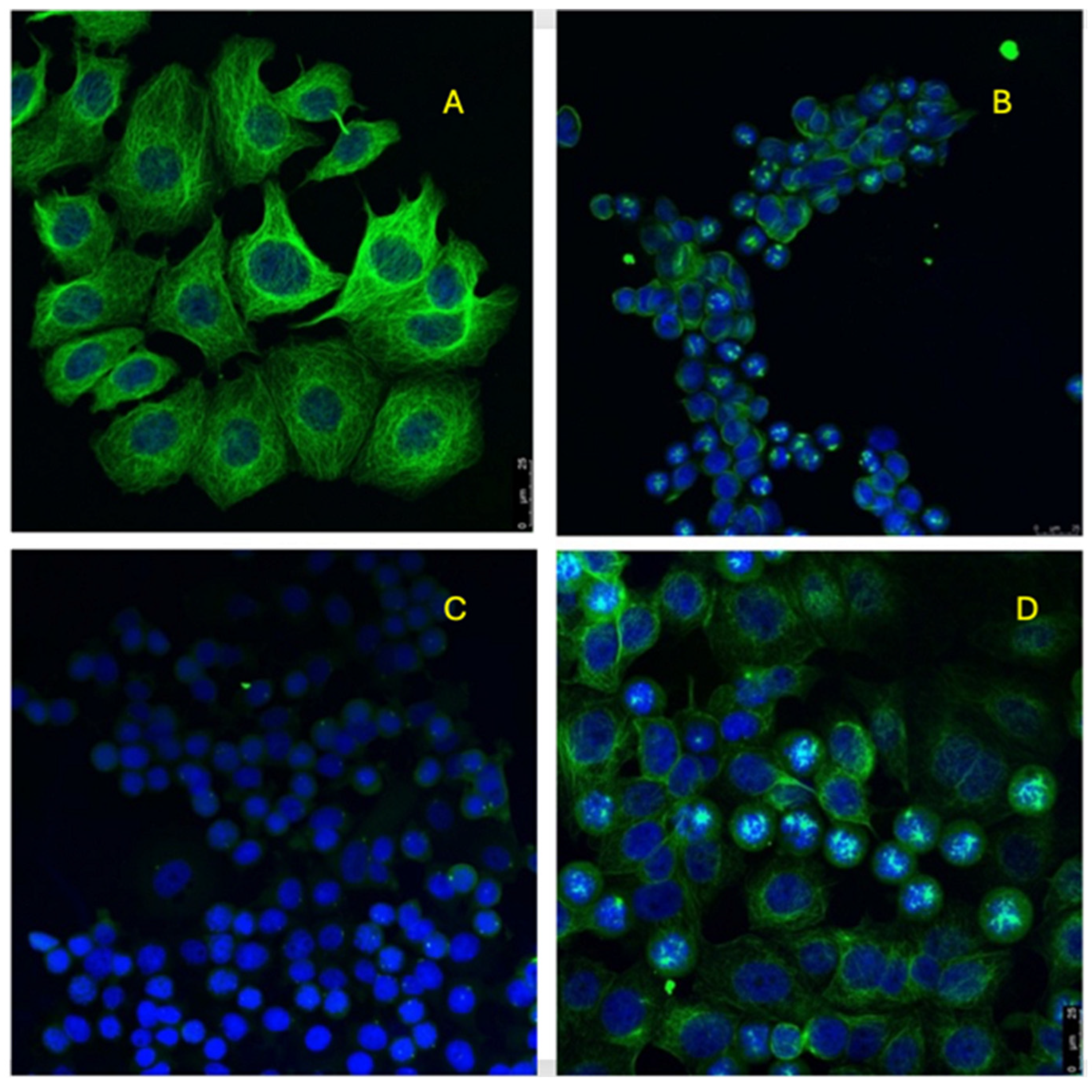 Pharmaceuticals 18 00118 g012