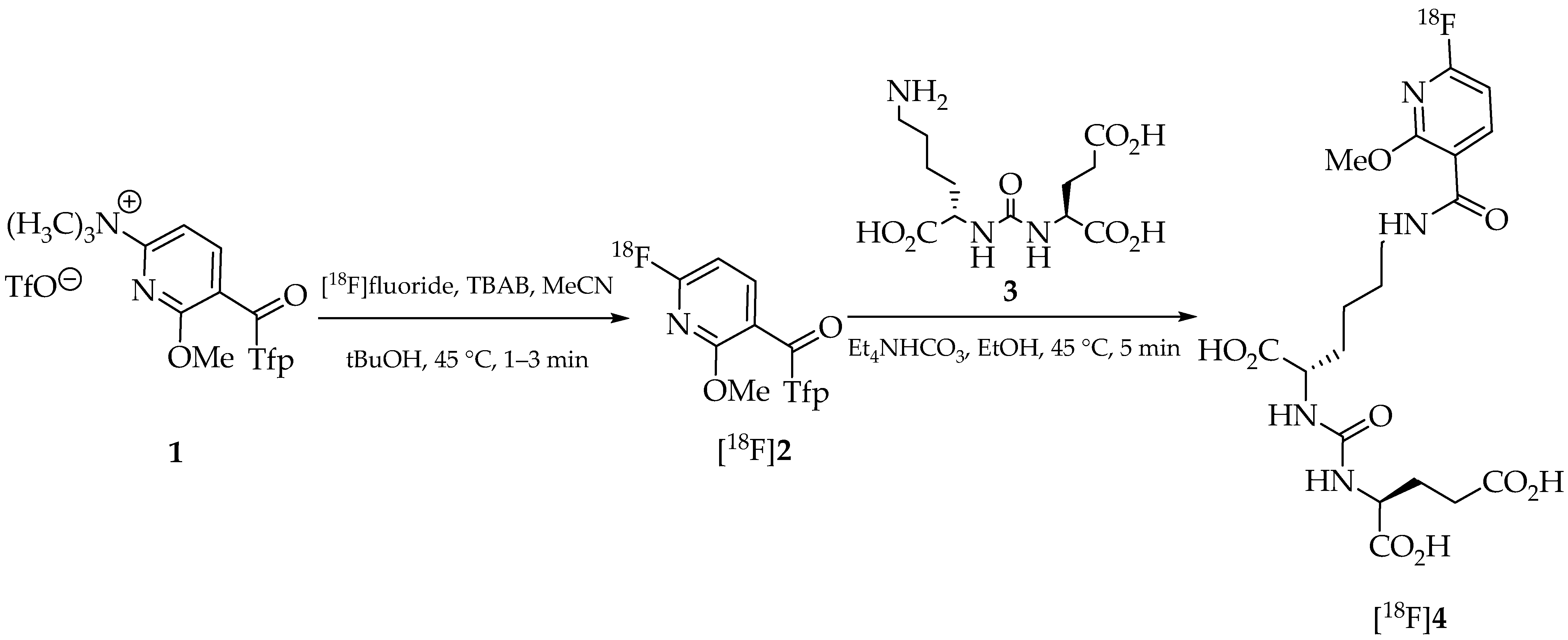 Pharmaceuticals 18 00119 g001