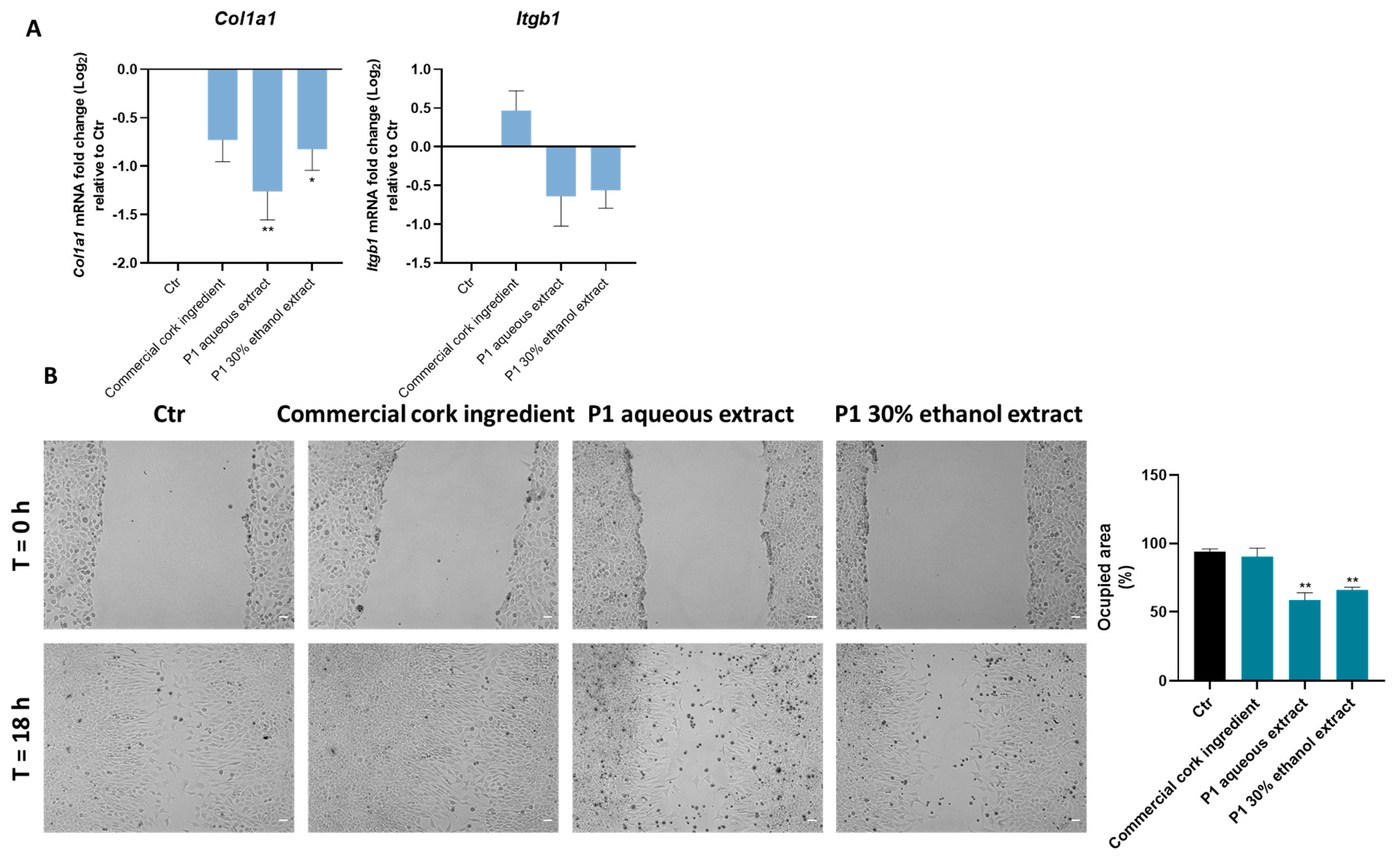 Pharmaceuticals 18 00121 g008