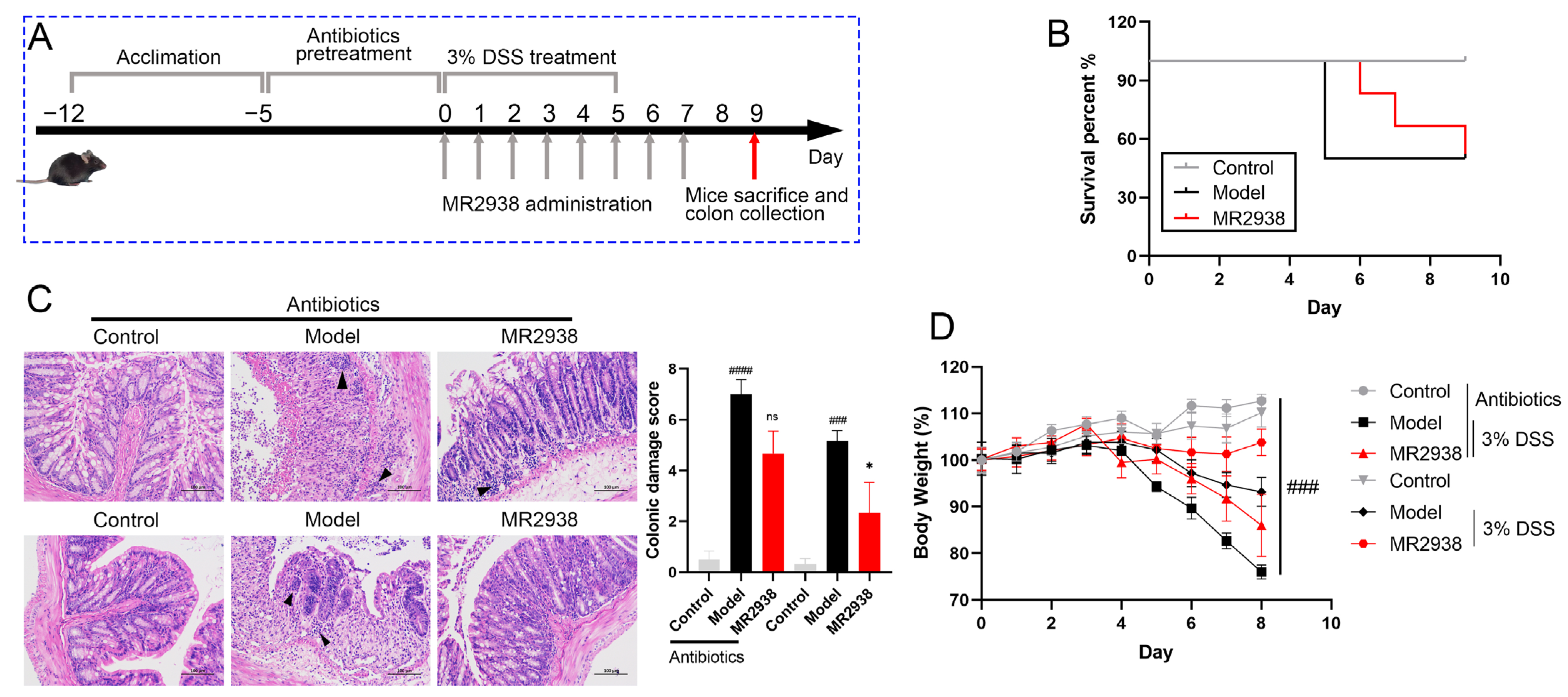 Pharmaceuticals 18 00123 g004