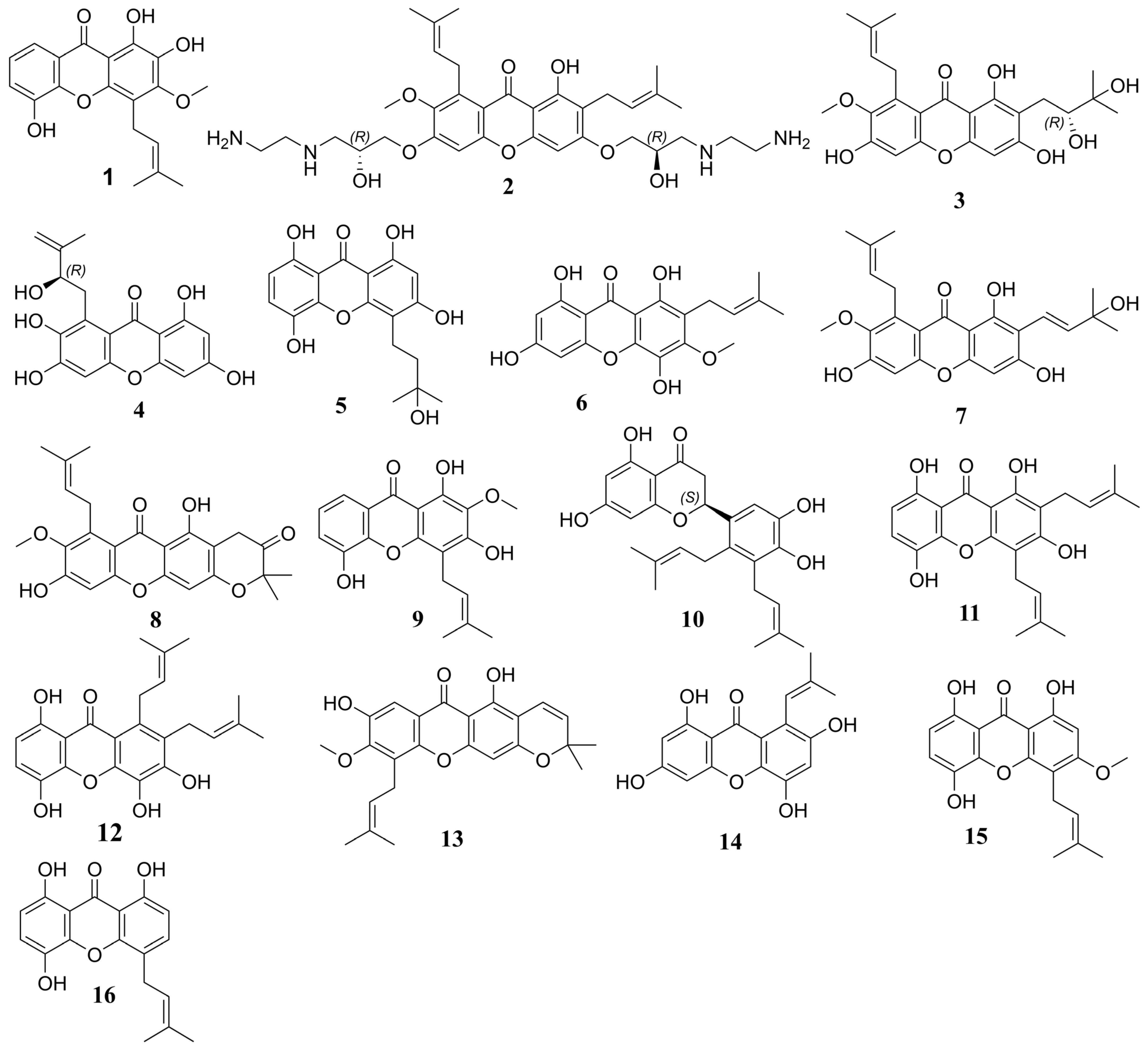 Pharmaceuticals 18 00126 g006